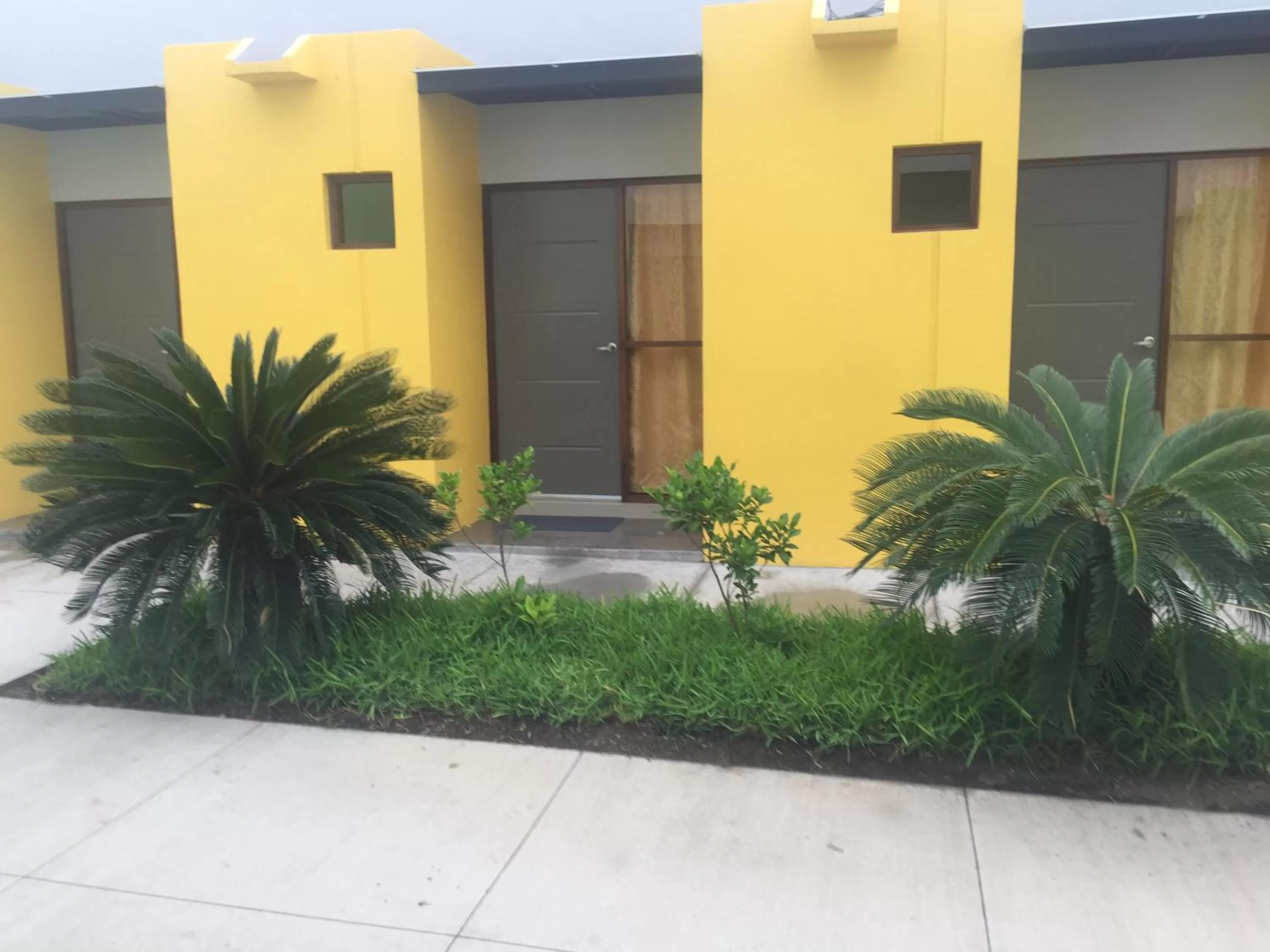 Property Building in Airport X Managua