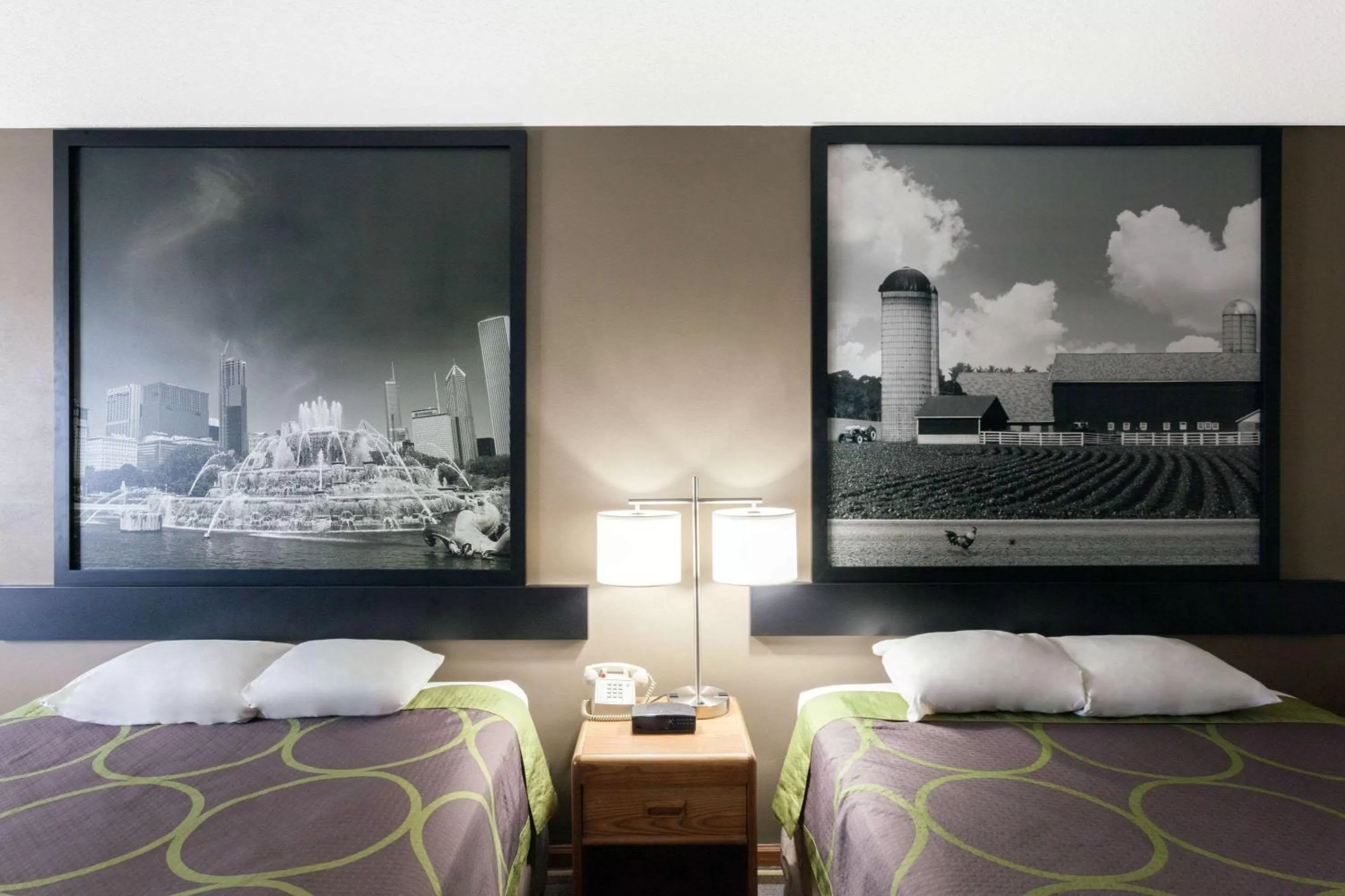 Photo of the whole room, Bed in Super 8 by Wyndham Gilman