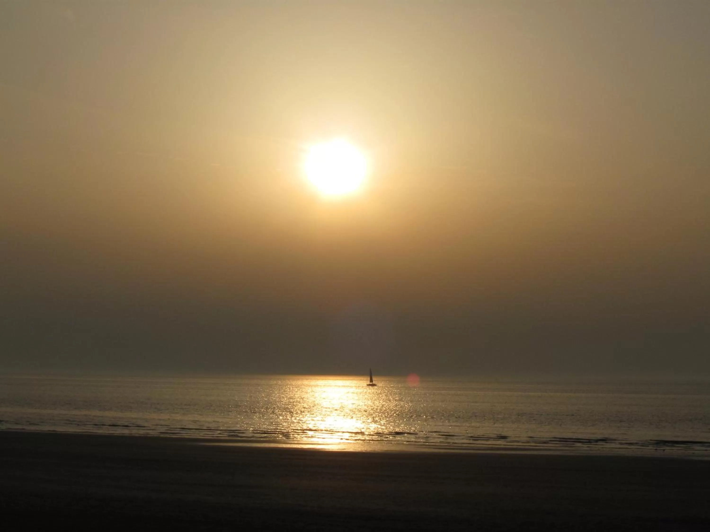 Area and facilities in Hotel Europe