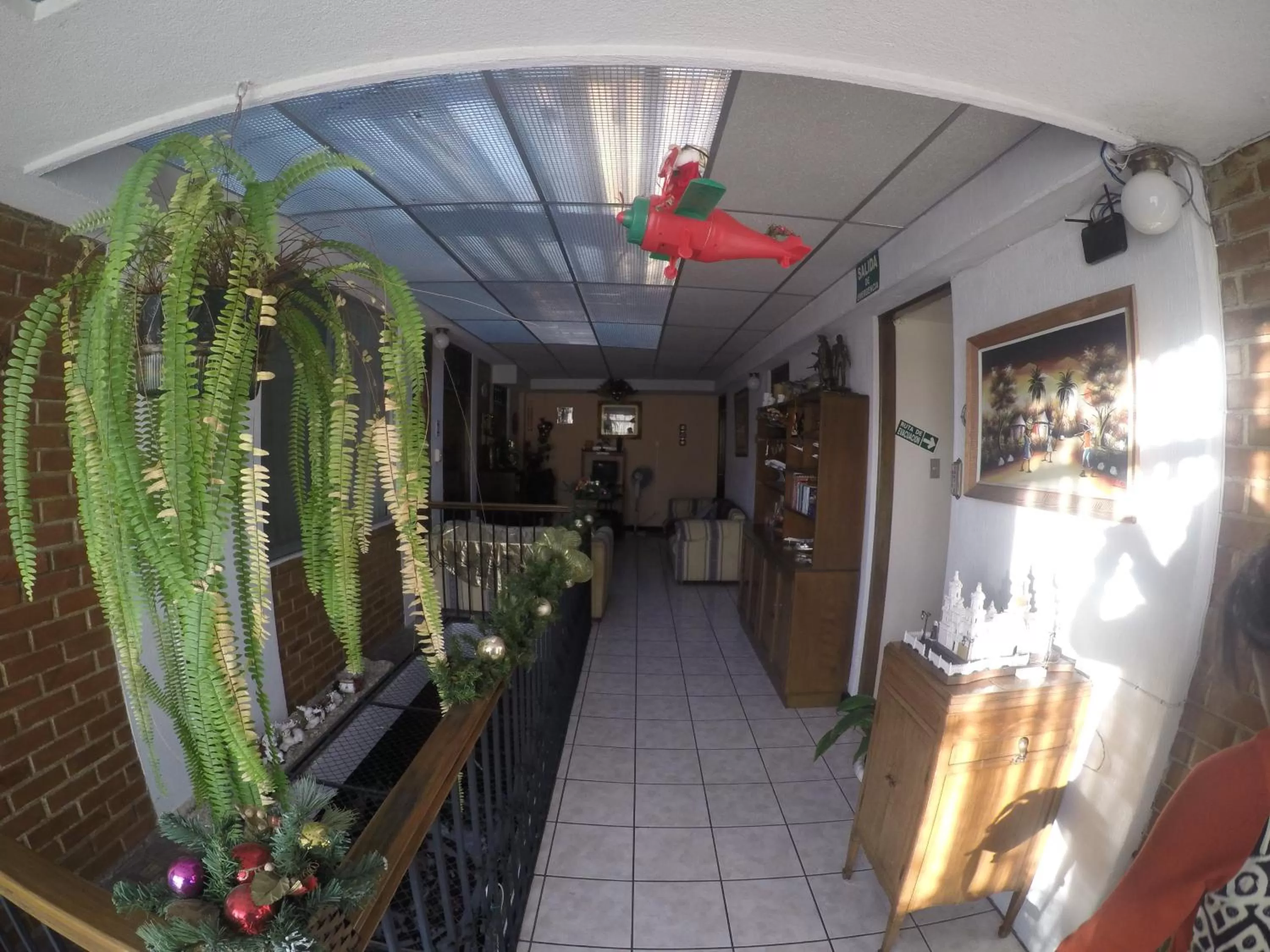 Decorative detail in Mariana's Petit Hotel