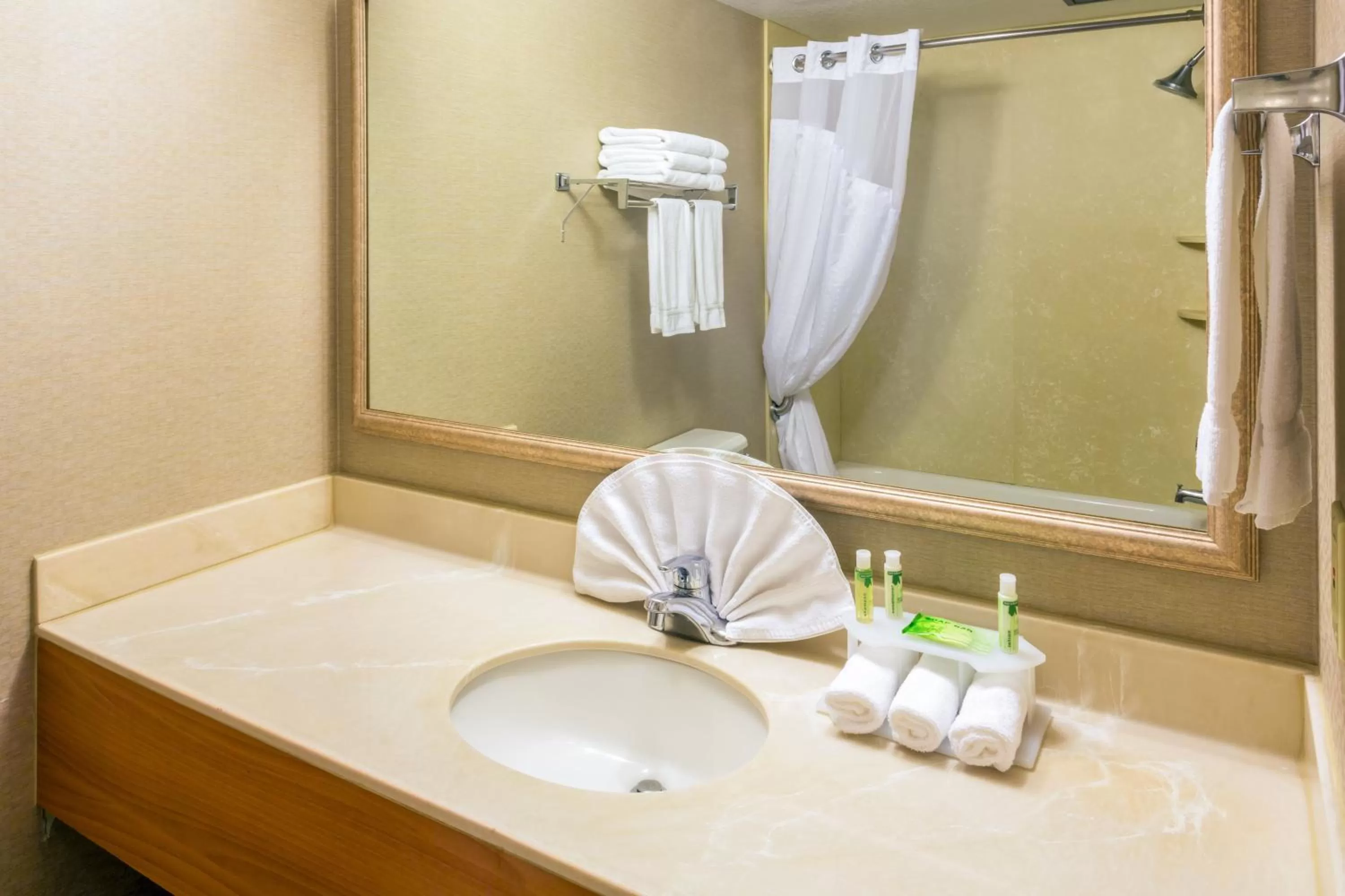 Bathroom in Holiday Inn Express Roseburg by IHG