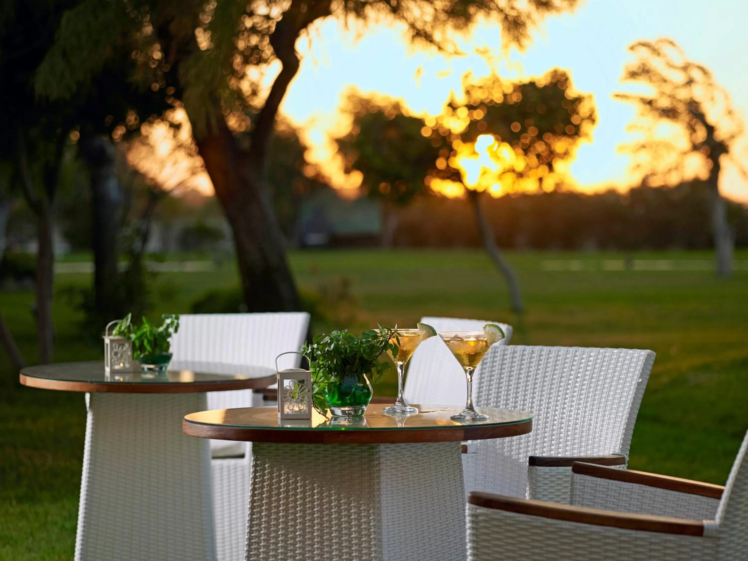 Lounge or bar in Mitsis Ramira