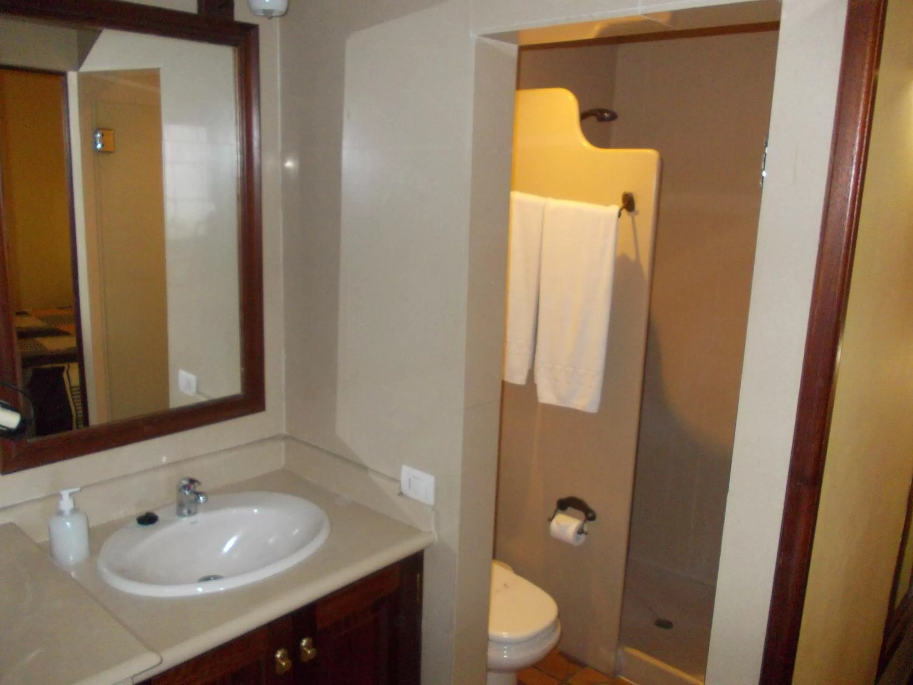 Shower in Hotel La Palma Romántica