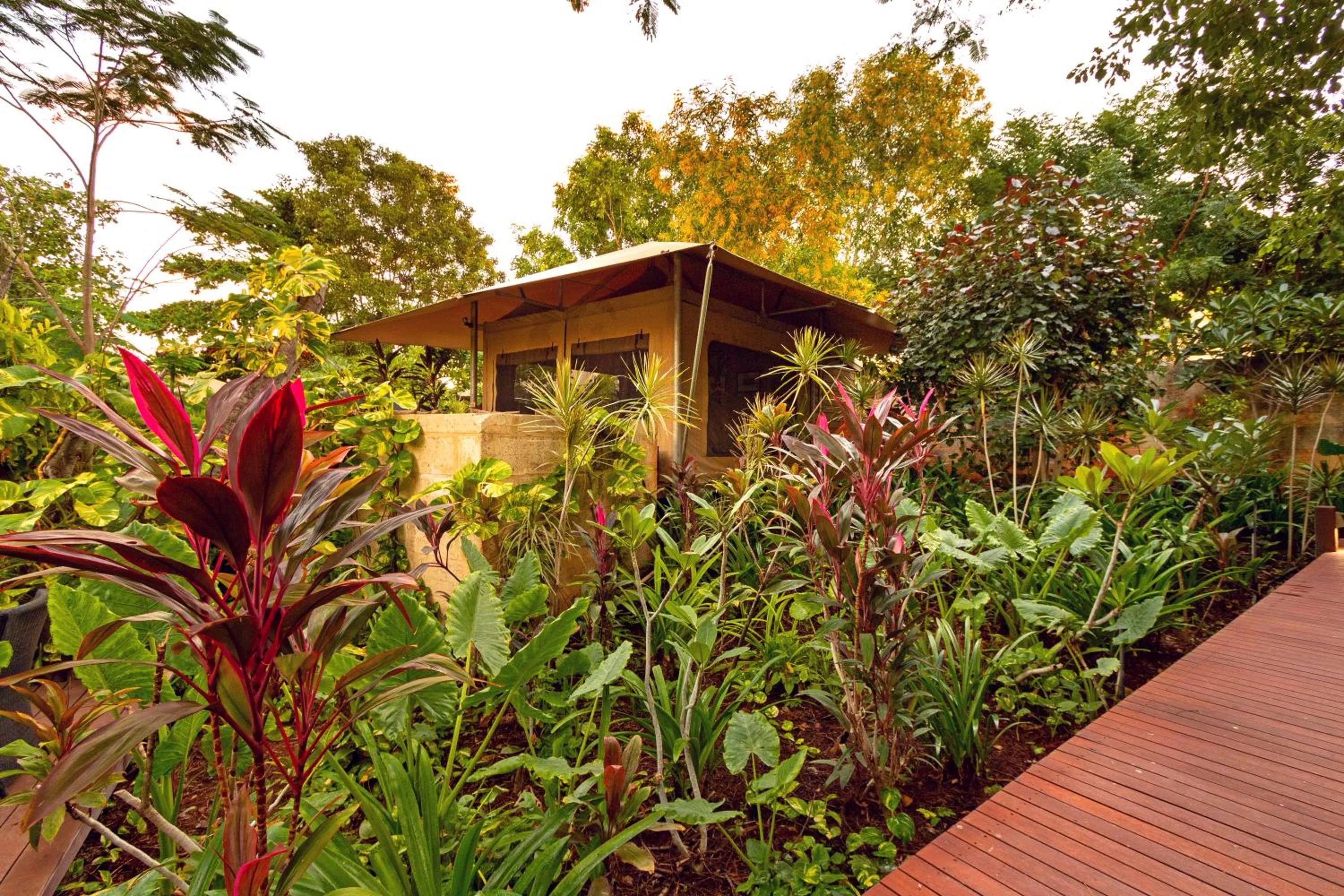 View (from property/room) in The Billi Resort