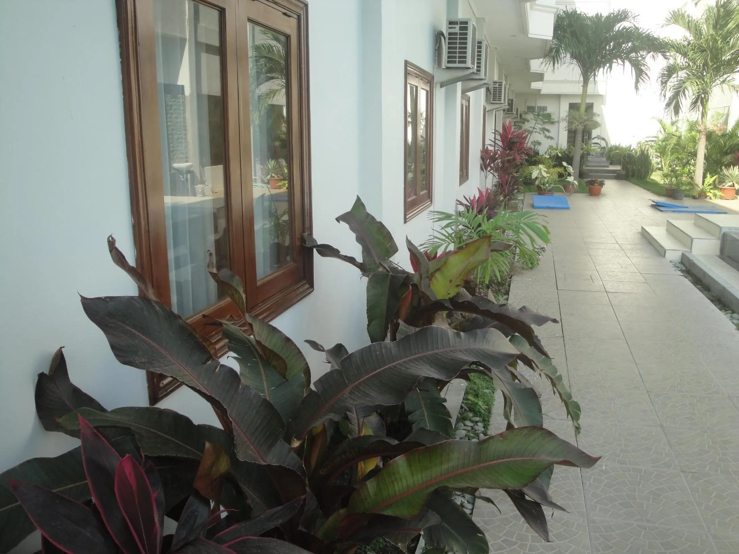 Garden in Sylvia Hotel Maumere