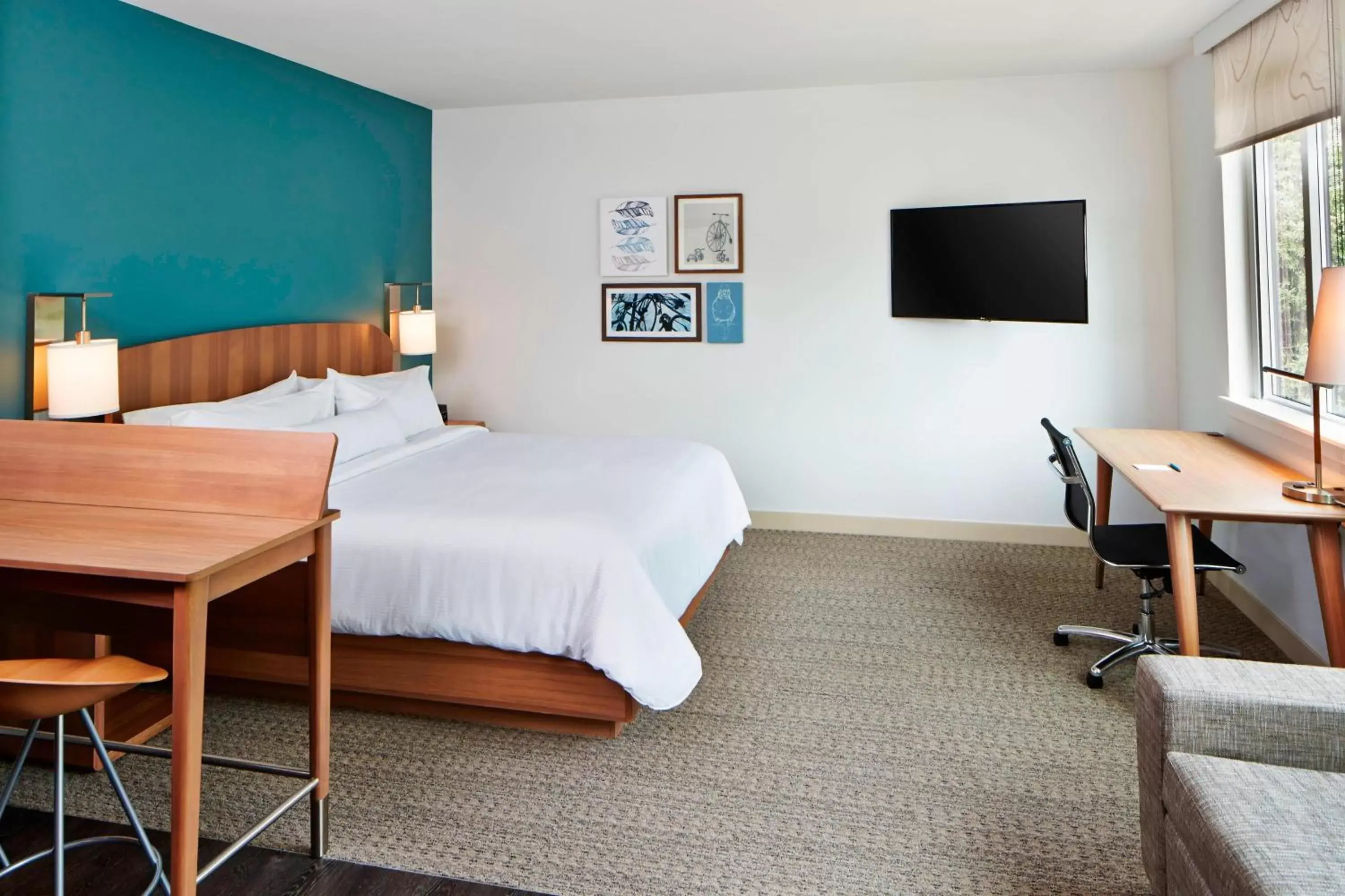 King Studio with Sofa Bed and Roll-in Shower - Mobility Accessible in Element Seattle Redmond King Studio with Sofa Bed and Roll-in Shower - Mobility Accessible in Element Seattle Redmond