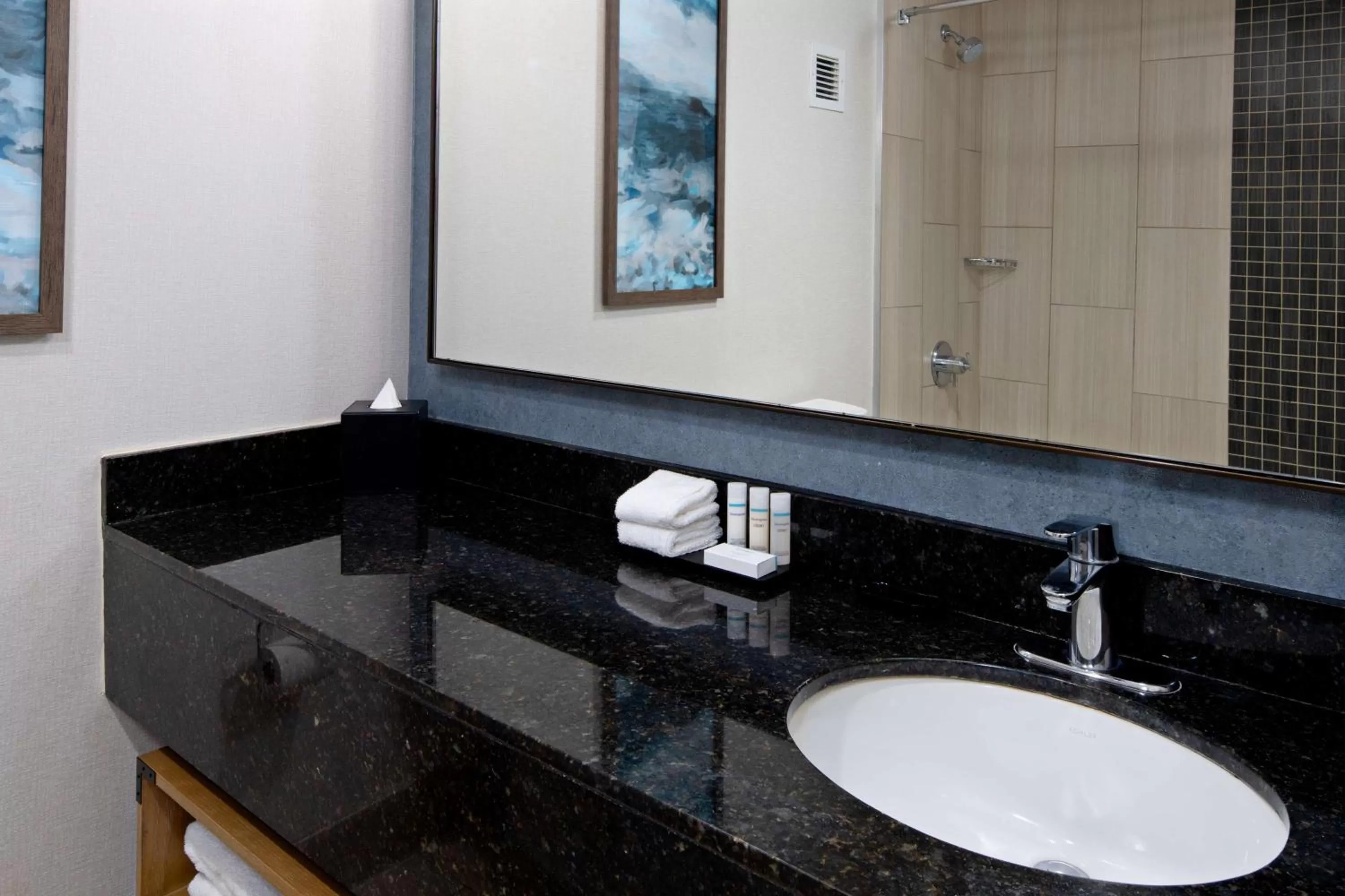 Bathroom in Embassy Suites by Hilton Monterey Bay Seaside