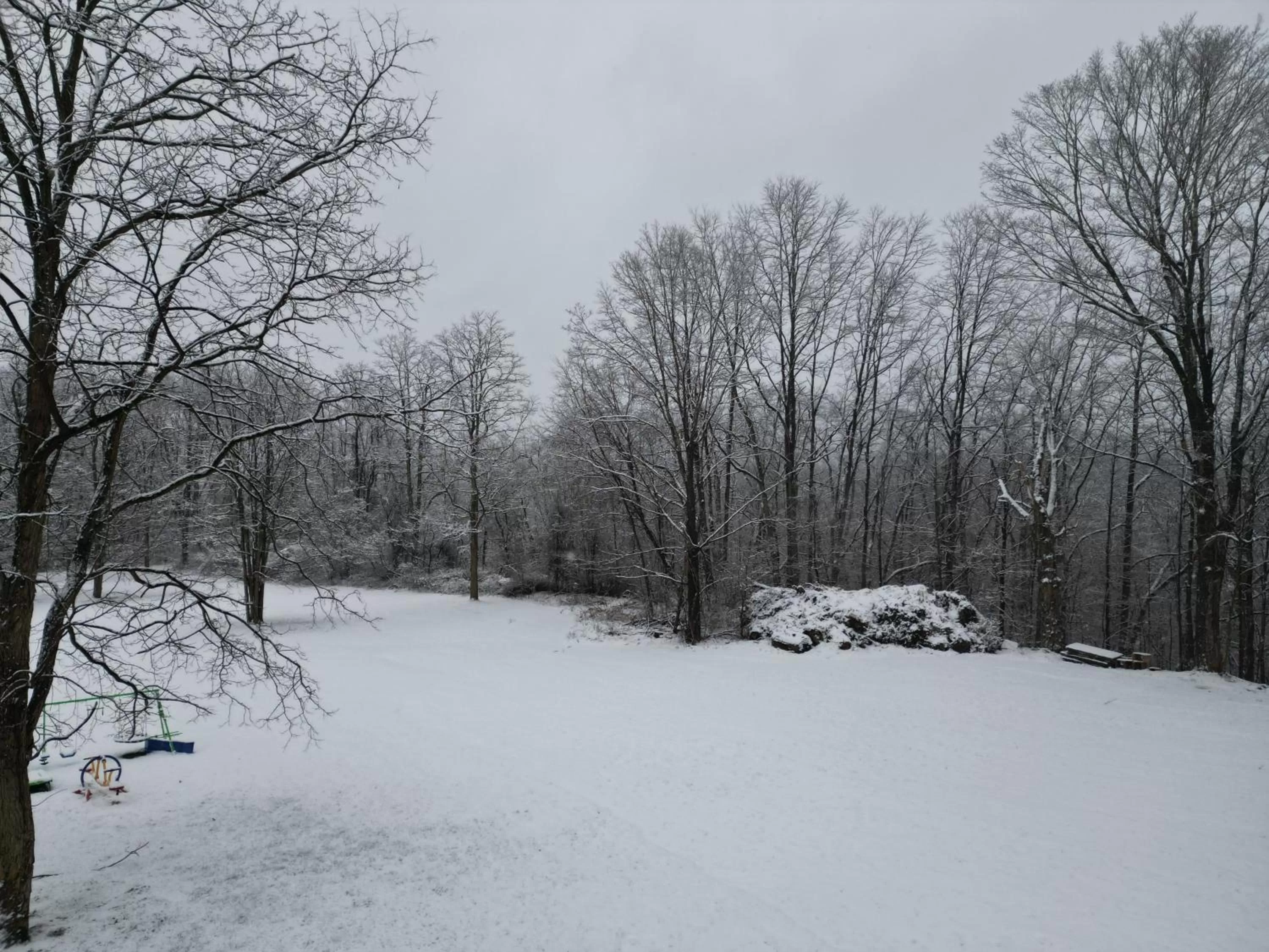 Children play ground in The Putney Inn