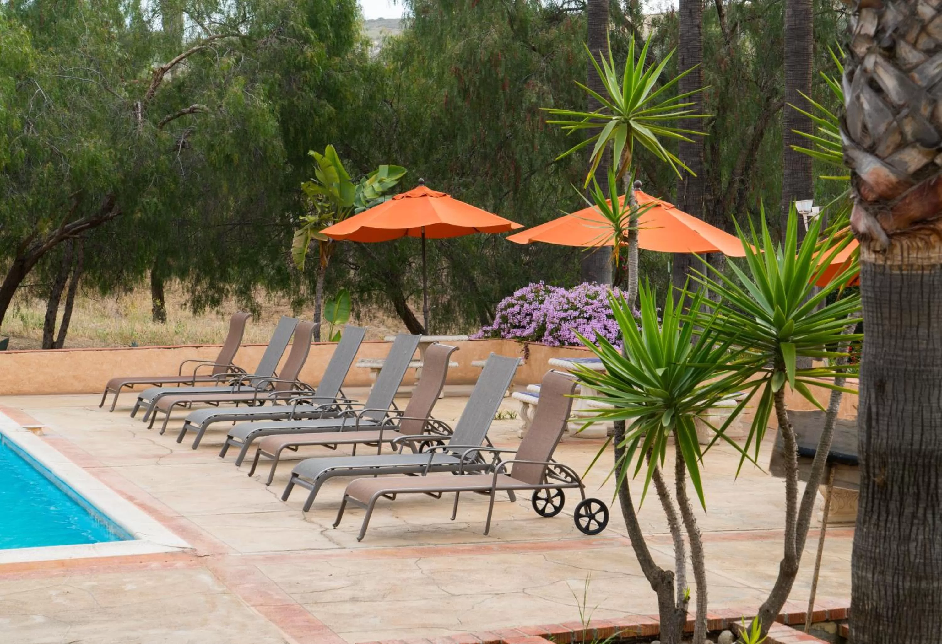 BBQ facilities in Horsepower Ranch