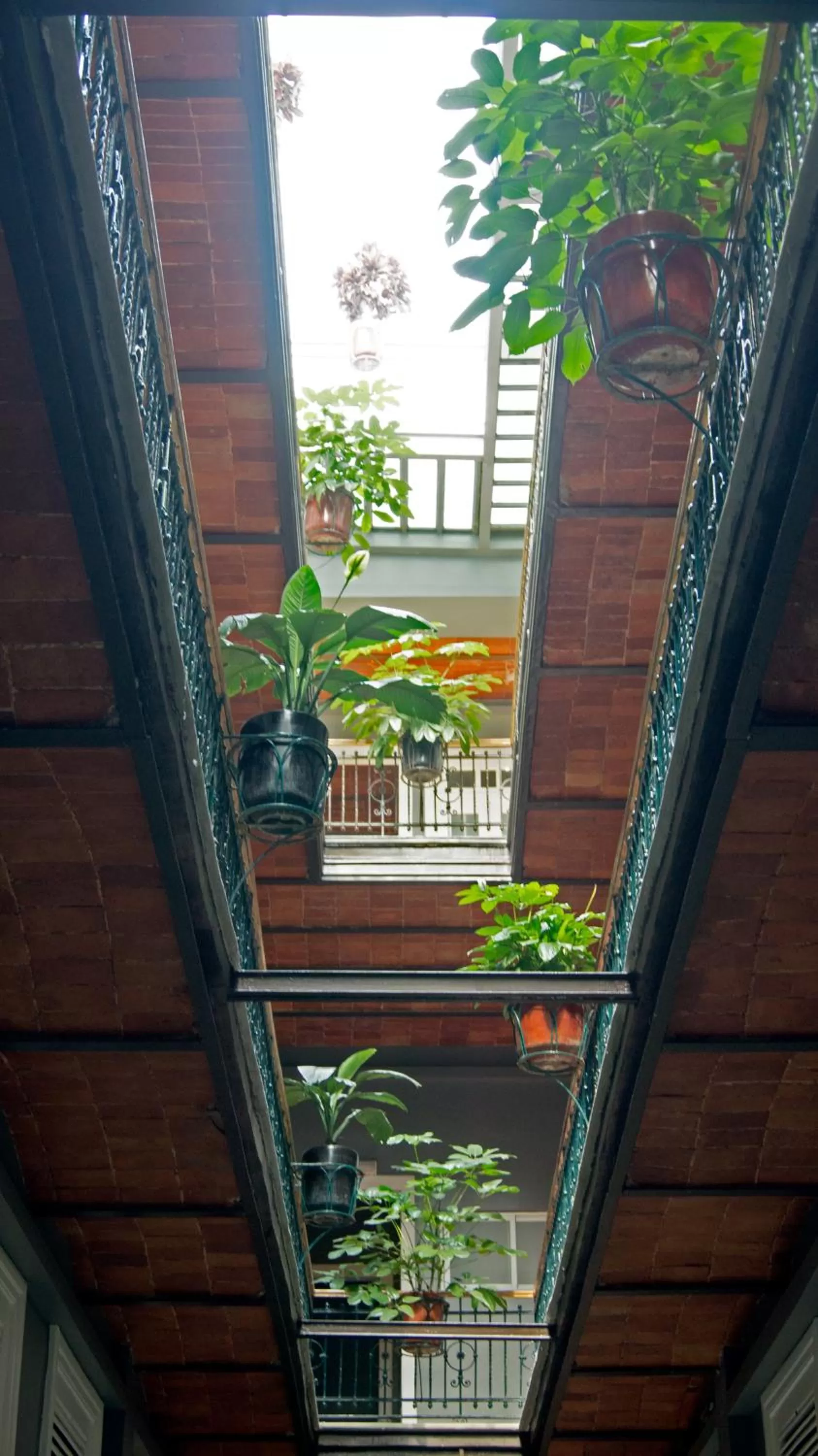 Garden view in Hotel Principal