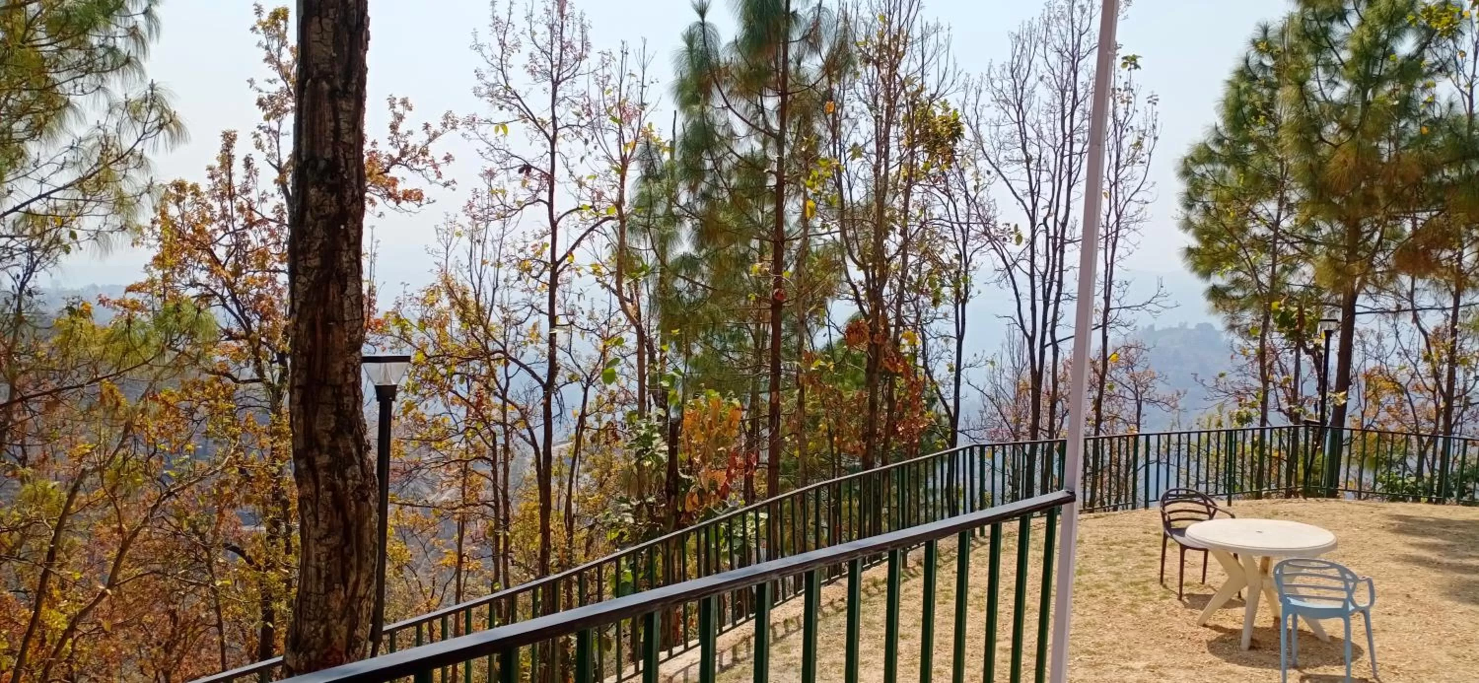 Garden in Blue Pine Orchards