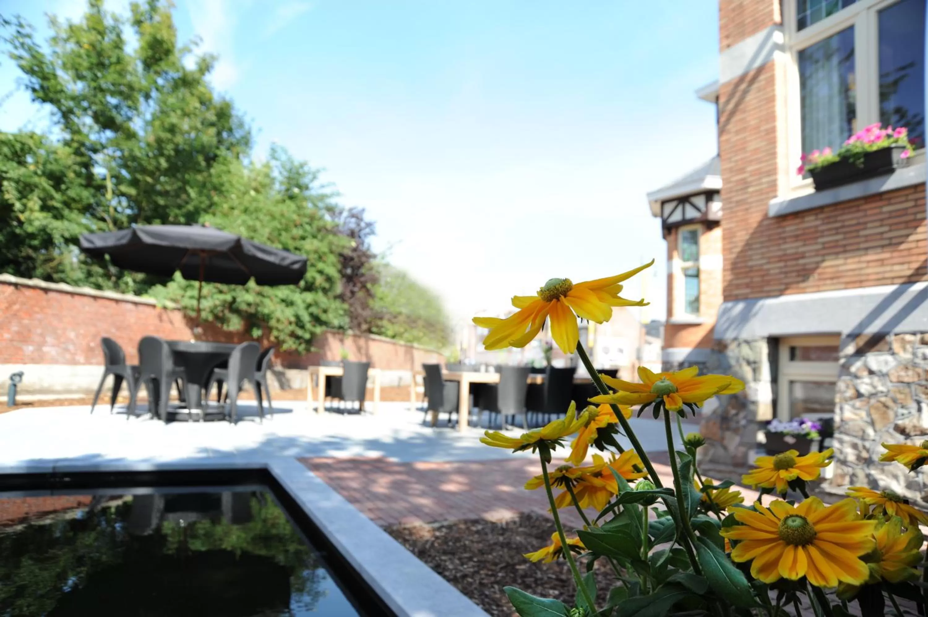 Decorative detail, Swimming Pool in Charmehotel Villa Saporis