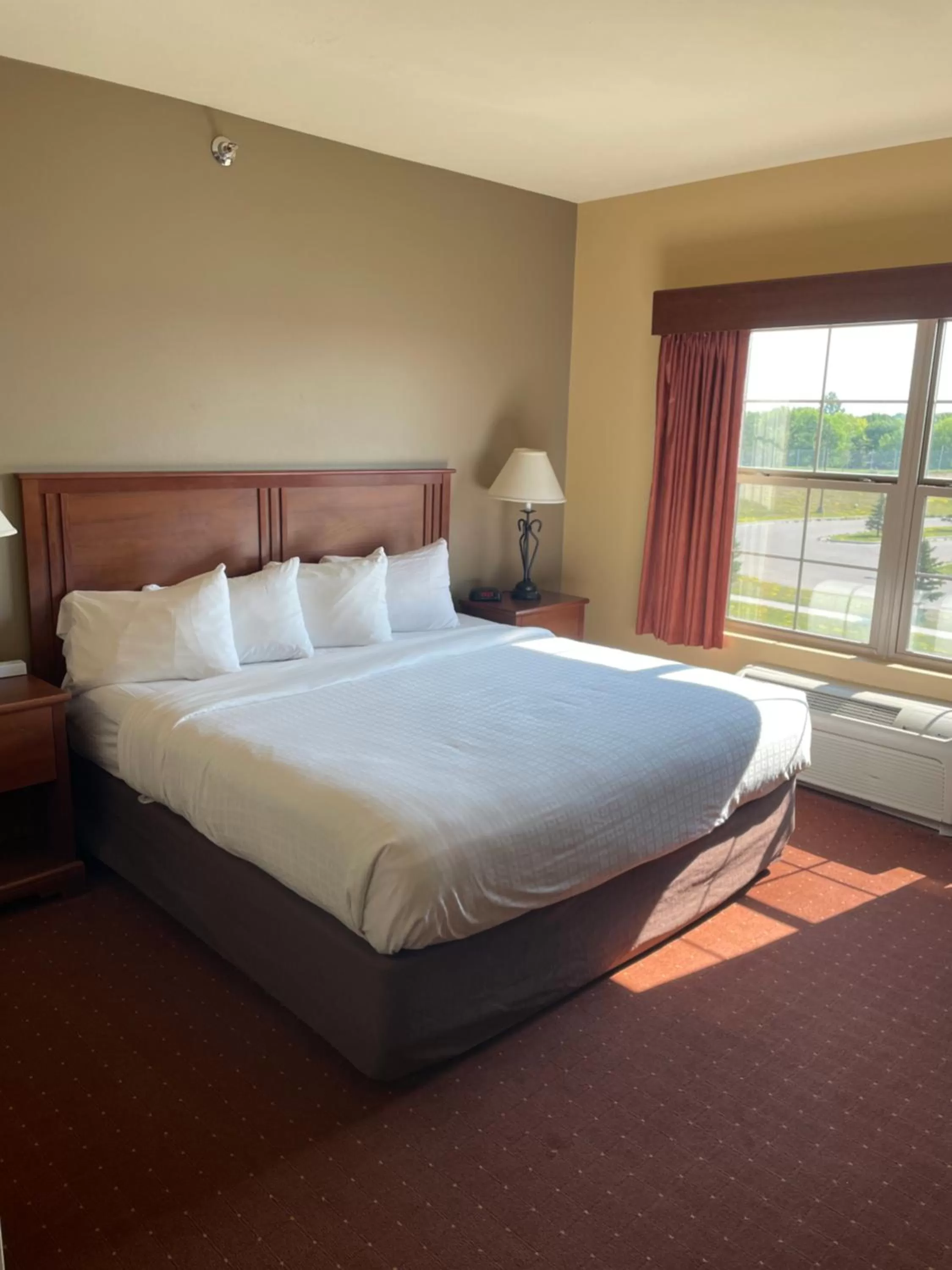 Photo of the whole room, Bed in AmericInn by Wyndham Fargo Medical Center