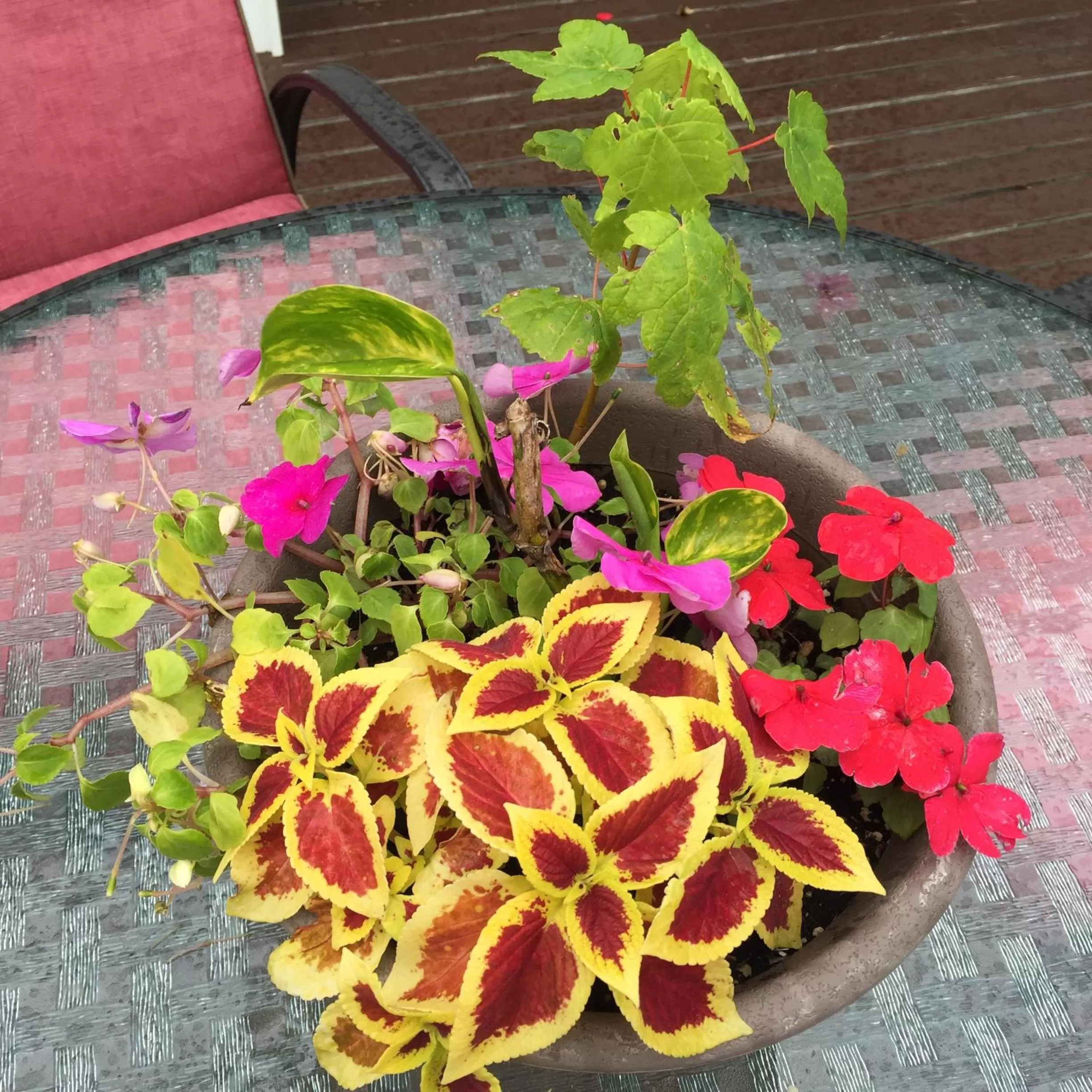 Patio in Lakelawn B&B and Motel