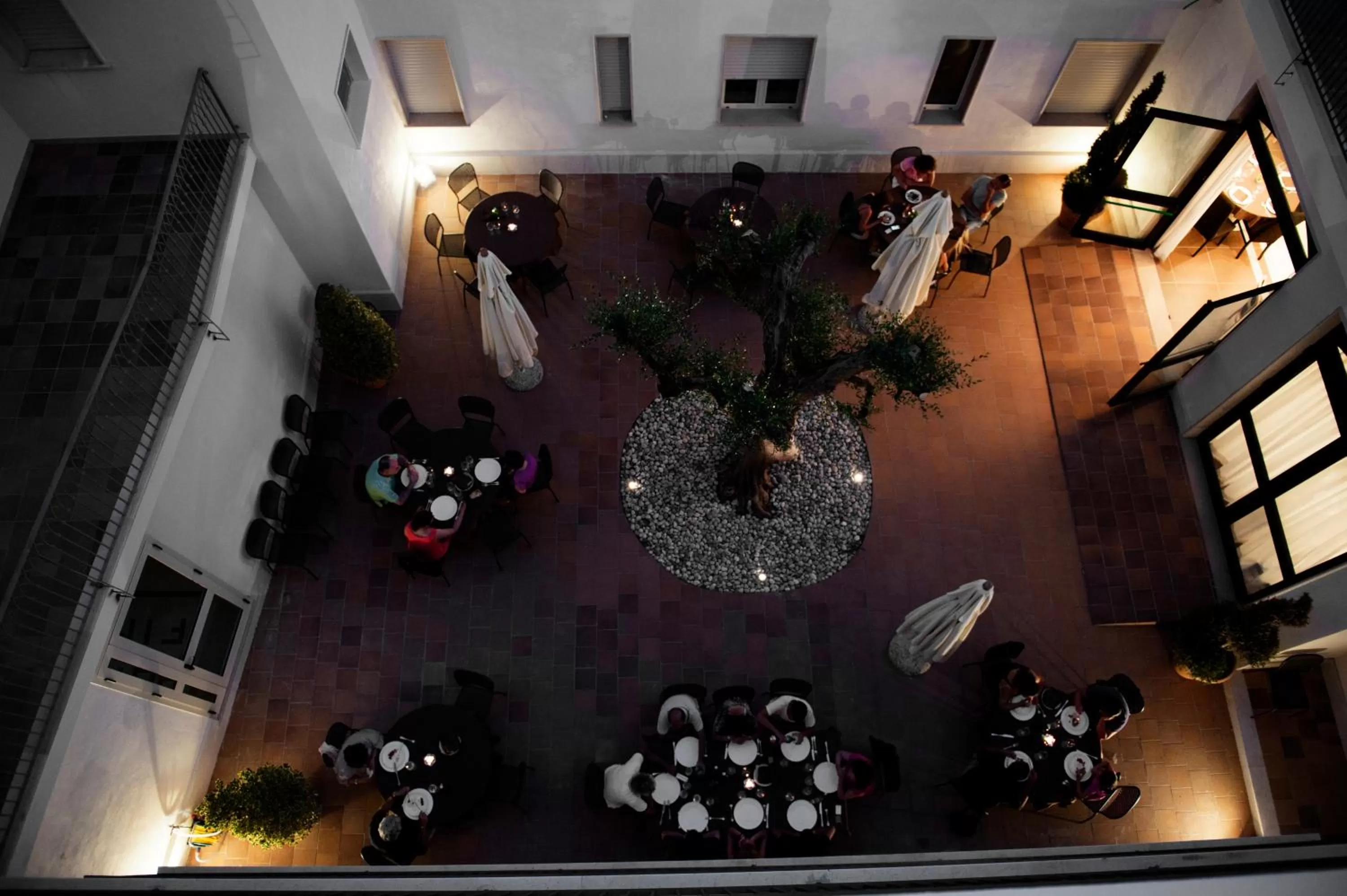 Garden in Hotel Fini