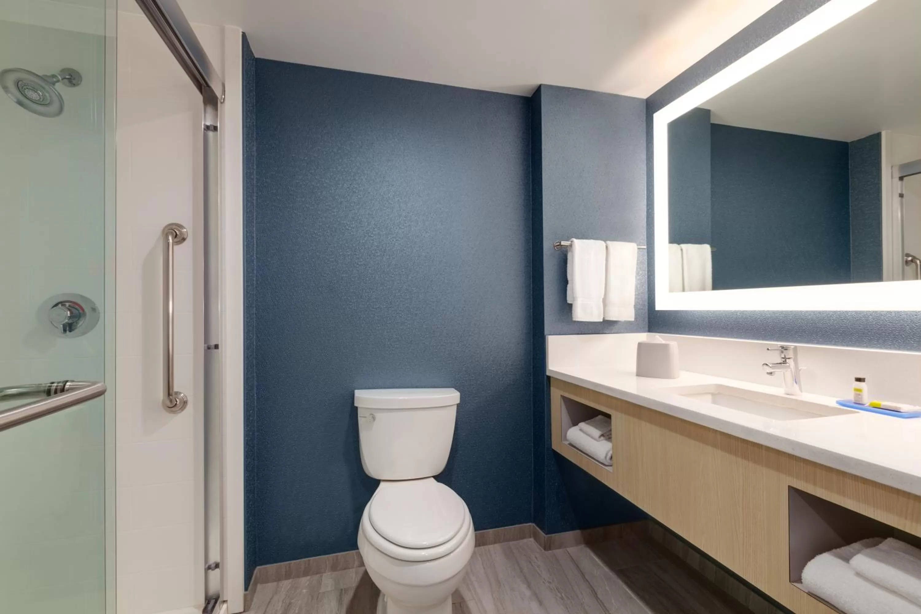 Bathroom in Holiday Inn Express Hotel & Suites Norfolk Airport by IHG