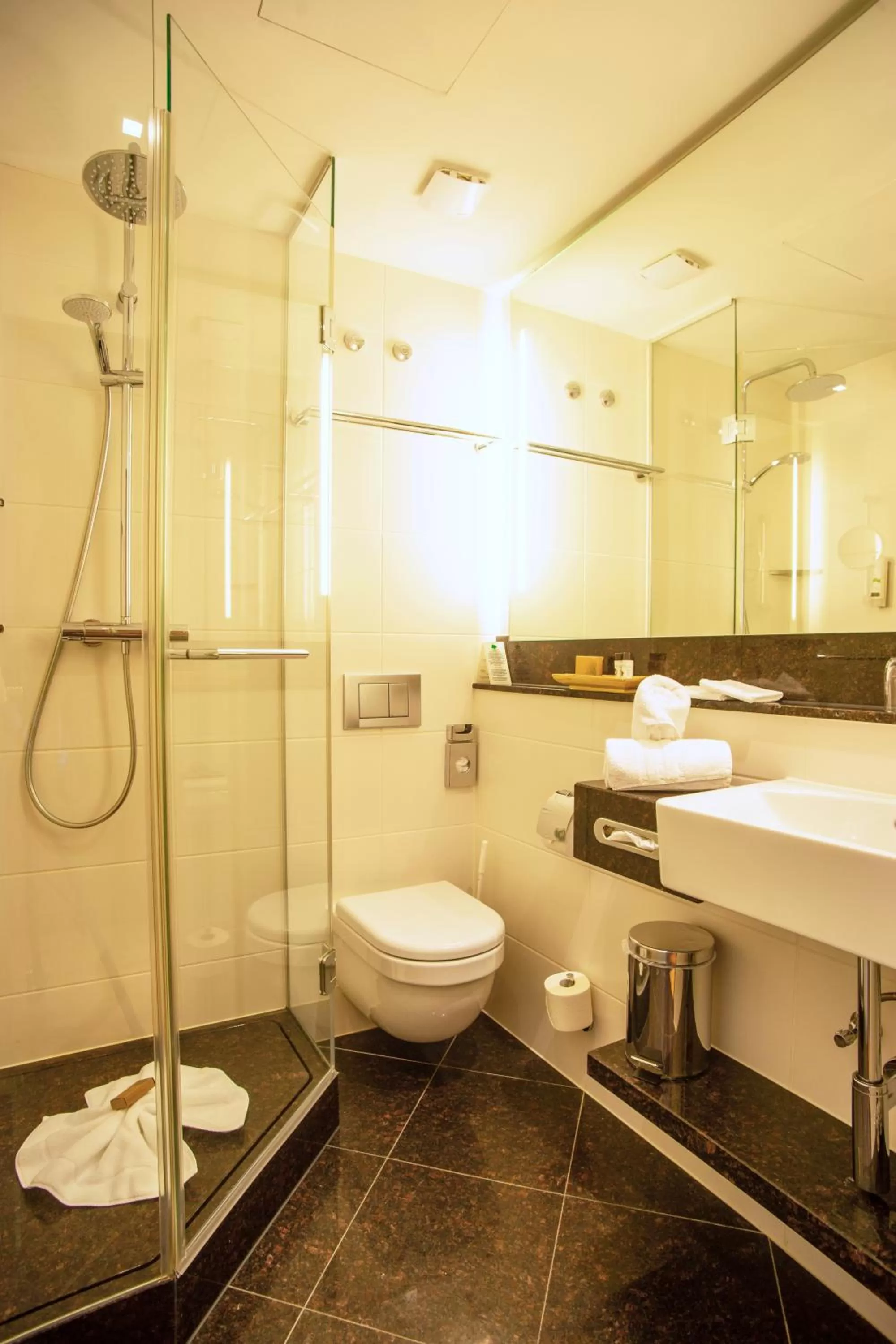 Shower, Bathroom in Bio Thermalhotel Falkenhof