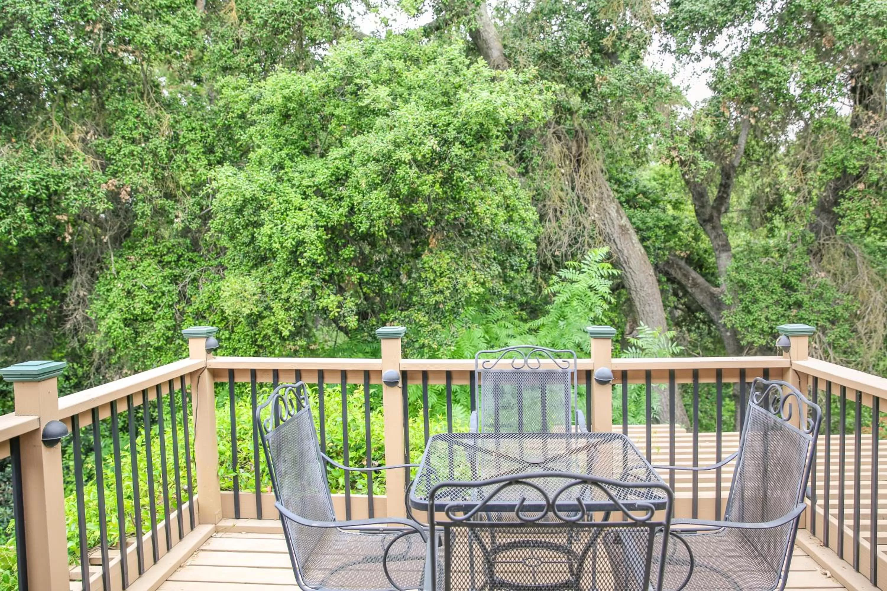 Balcony/Terrace in The Eden House Vineyard