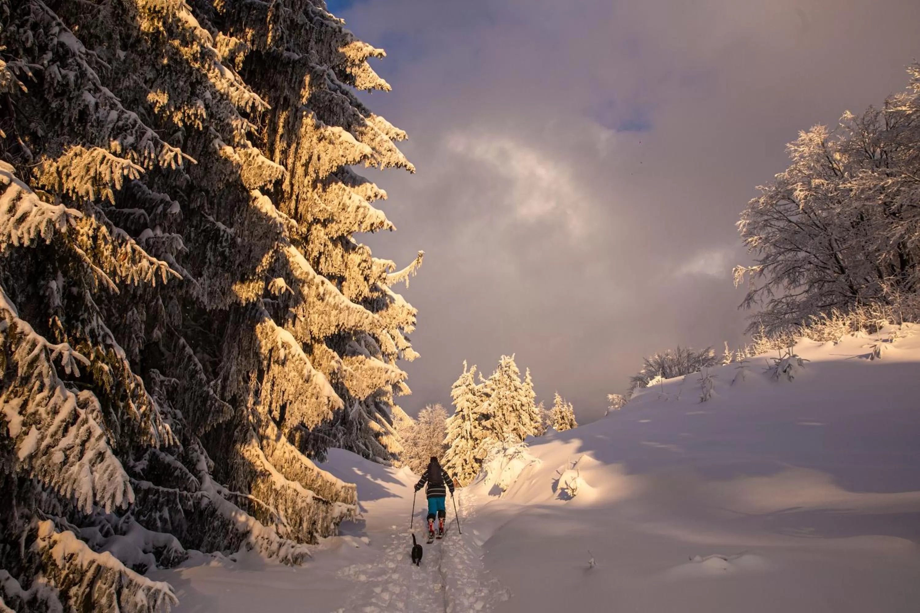 Winter in Adventure Lake Resort - Simared