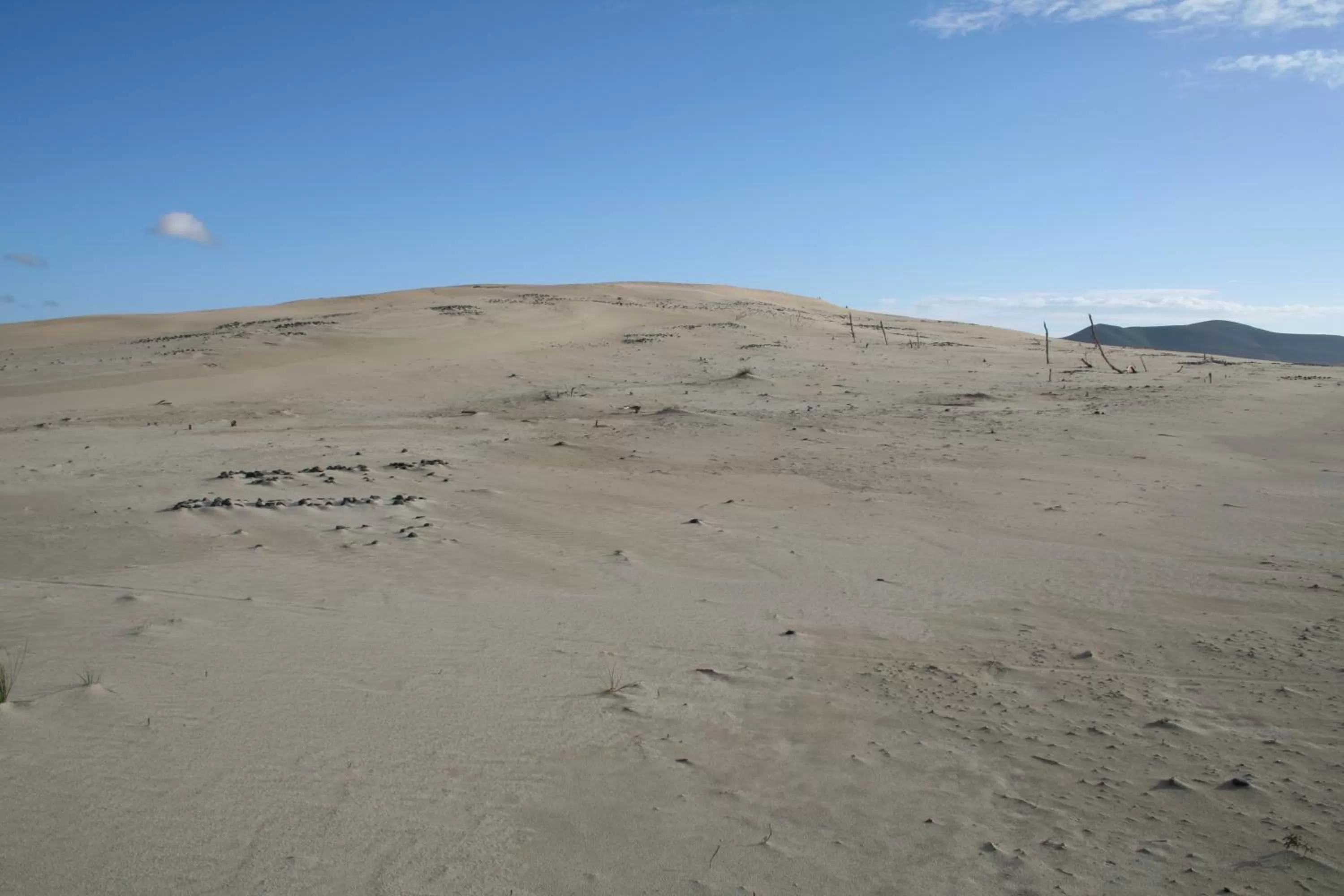 Natural landscape in Hotel Jasmine