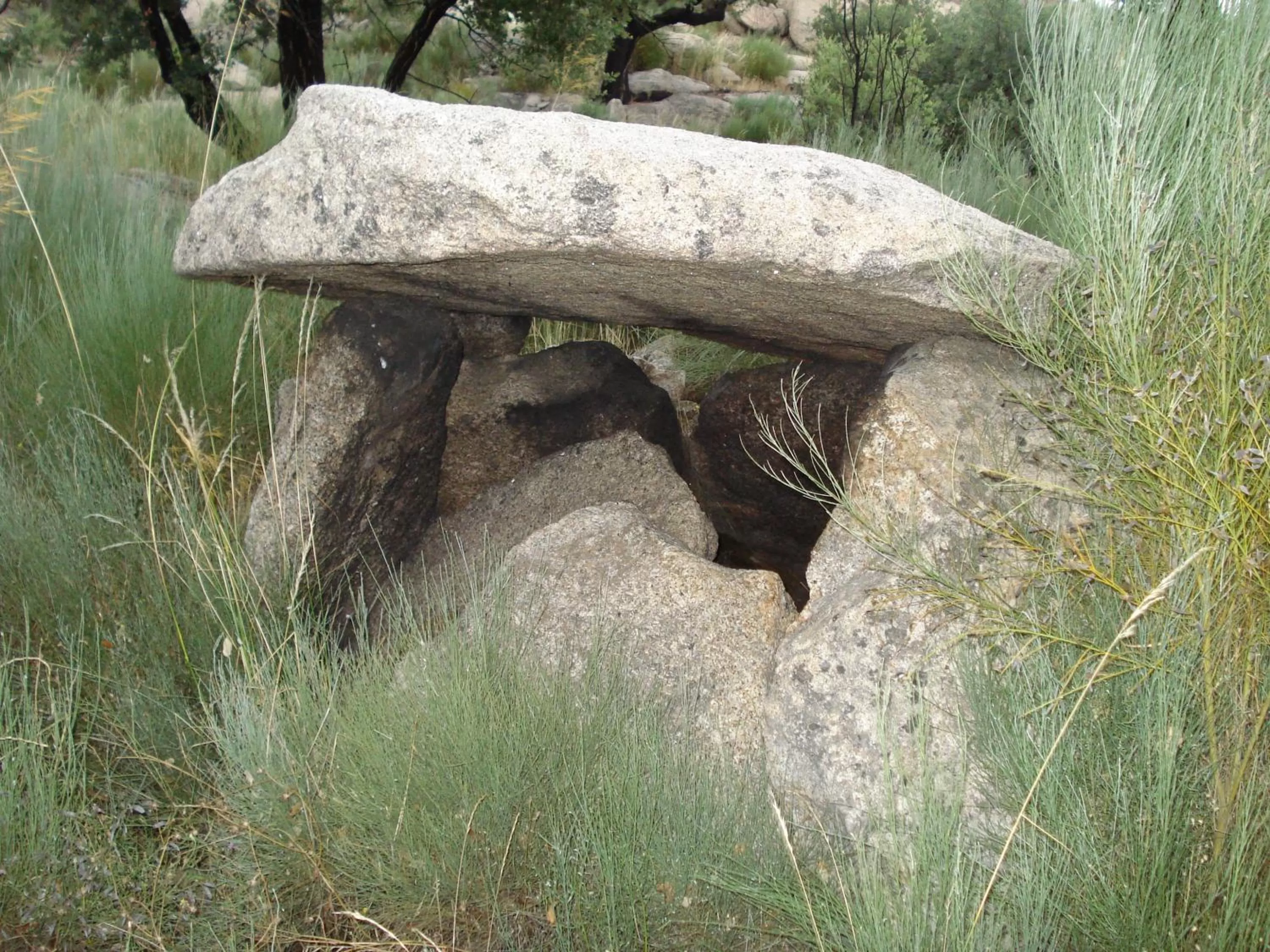 Area and facilities in Dom Dinis Marvão