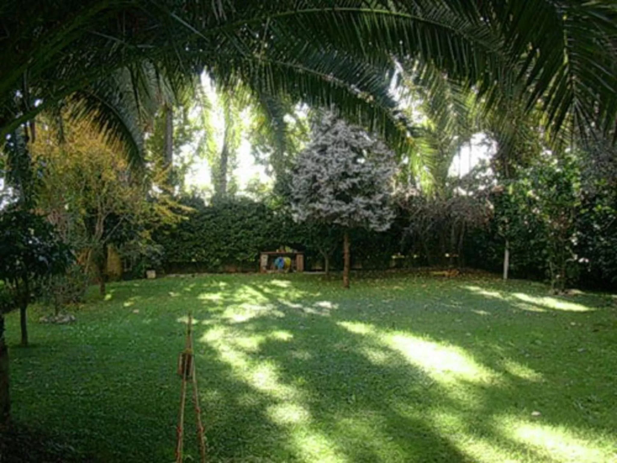 Day in Hotel Excelsior