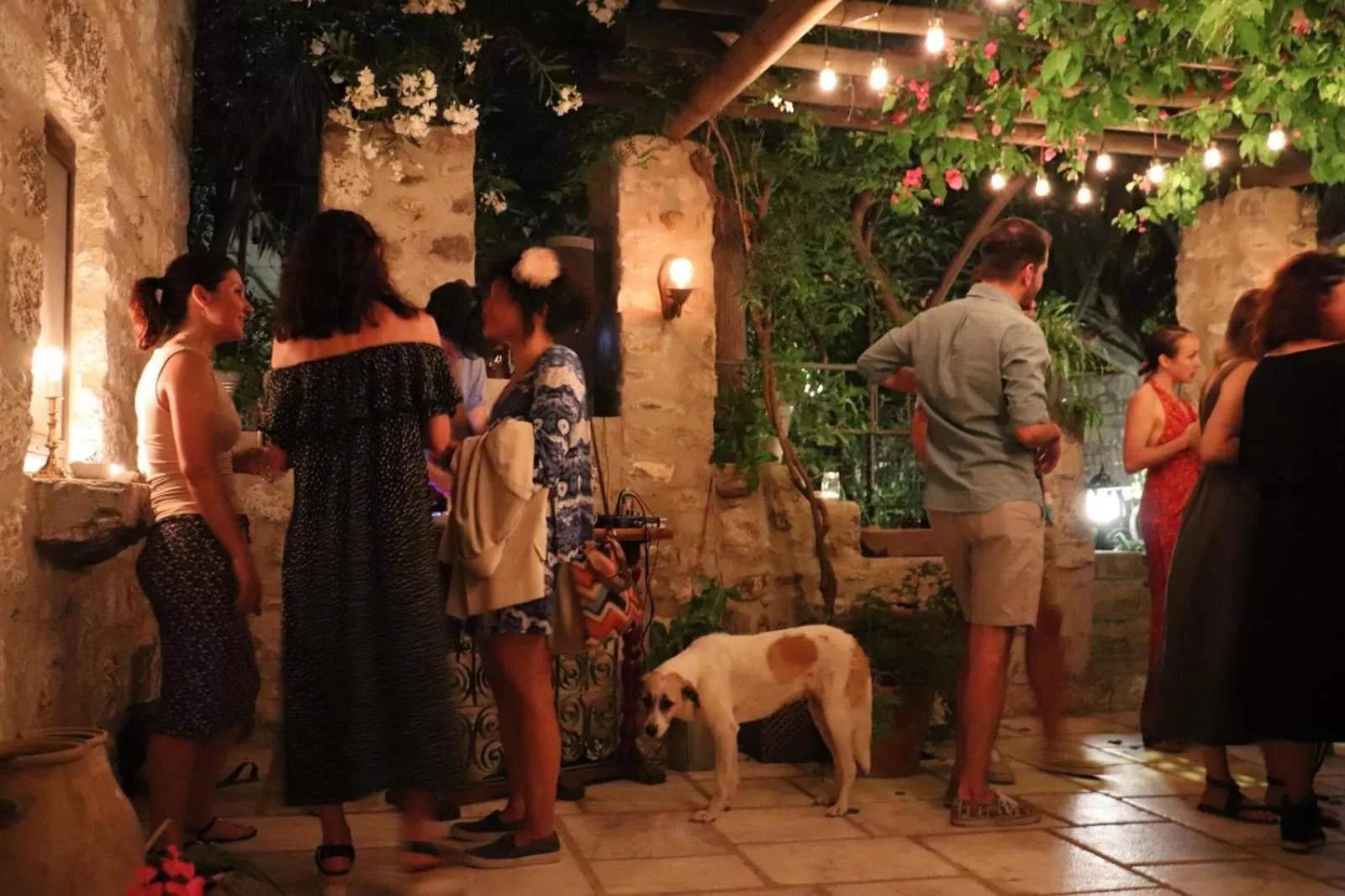 Evening entertainment in Ha La Bodrum