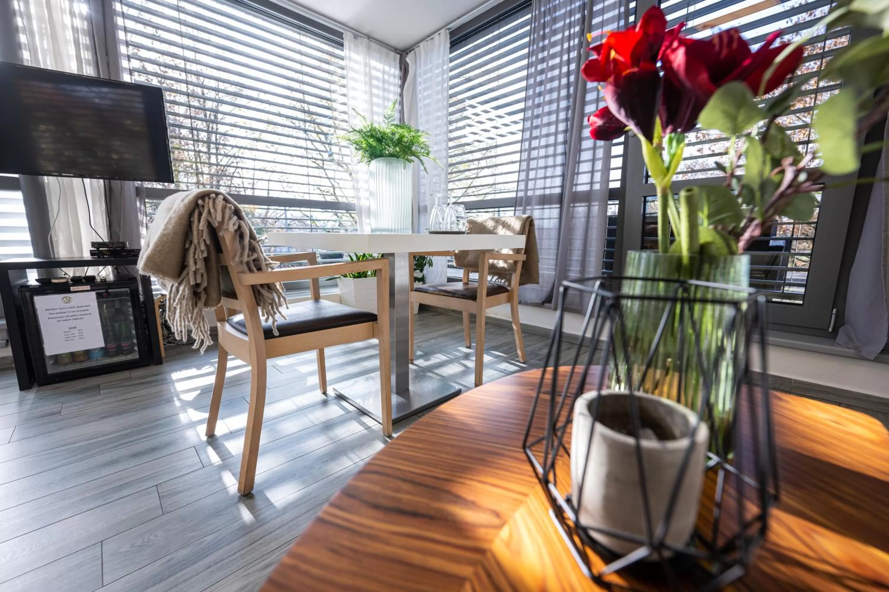 TV and multimedia in Atelier Lanna