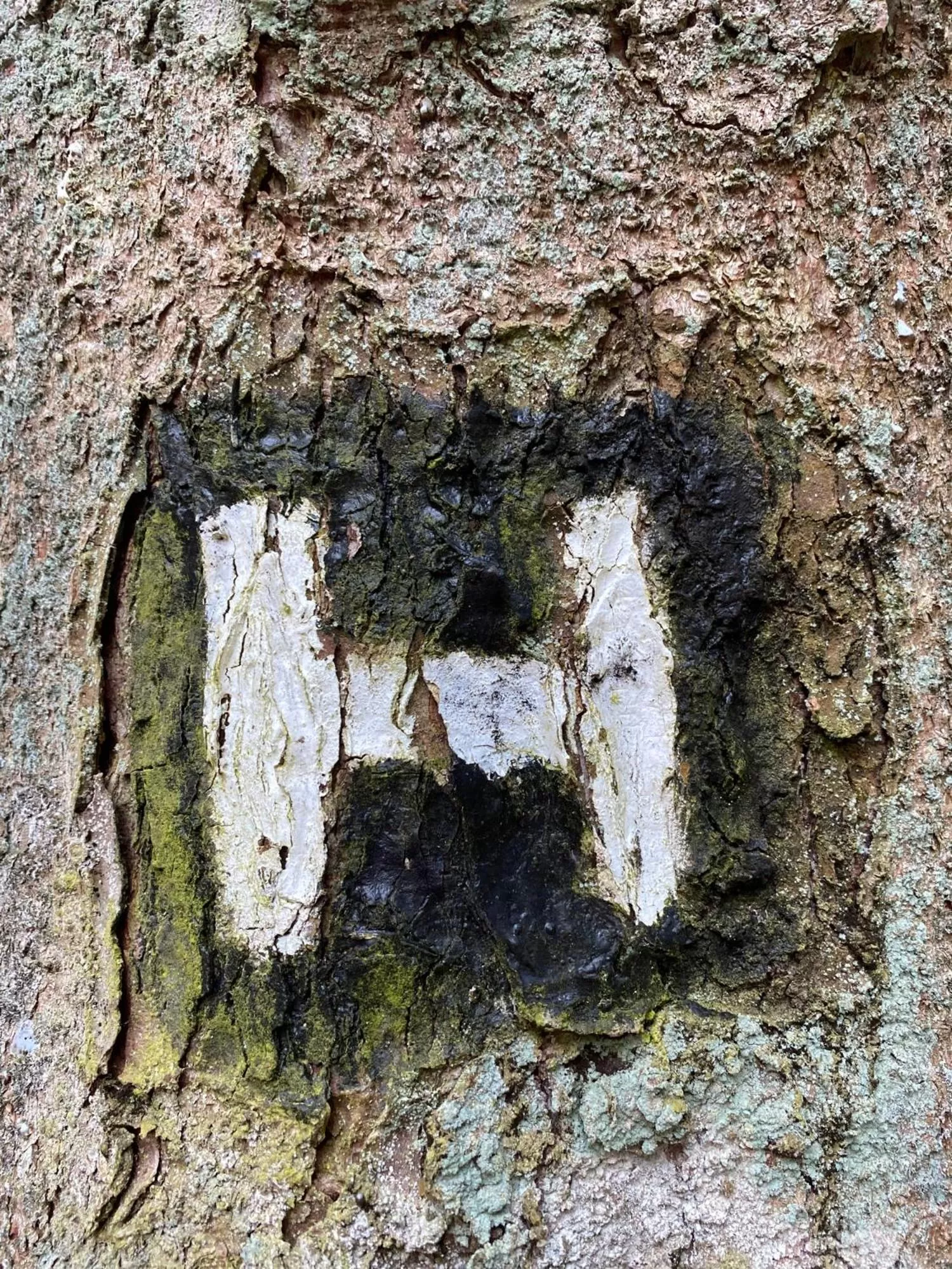 Hiking in Flair Hotel Zur Eiche