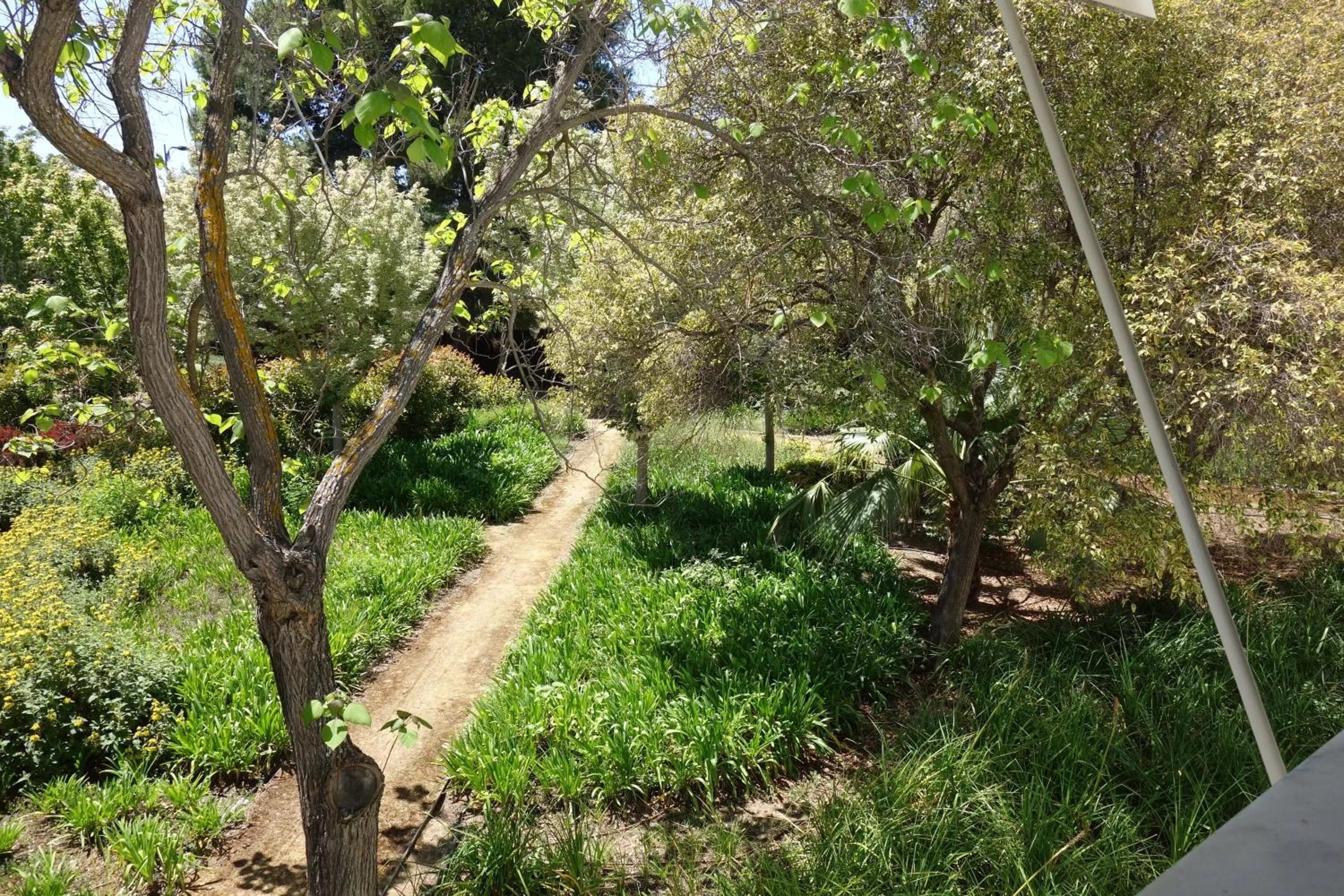 Garden view in Parador de Antequera