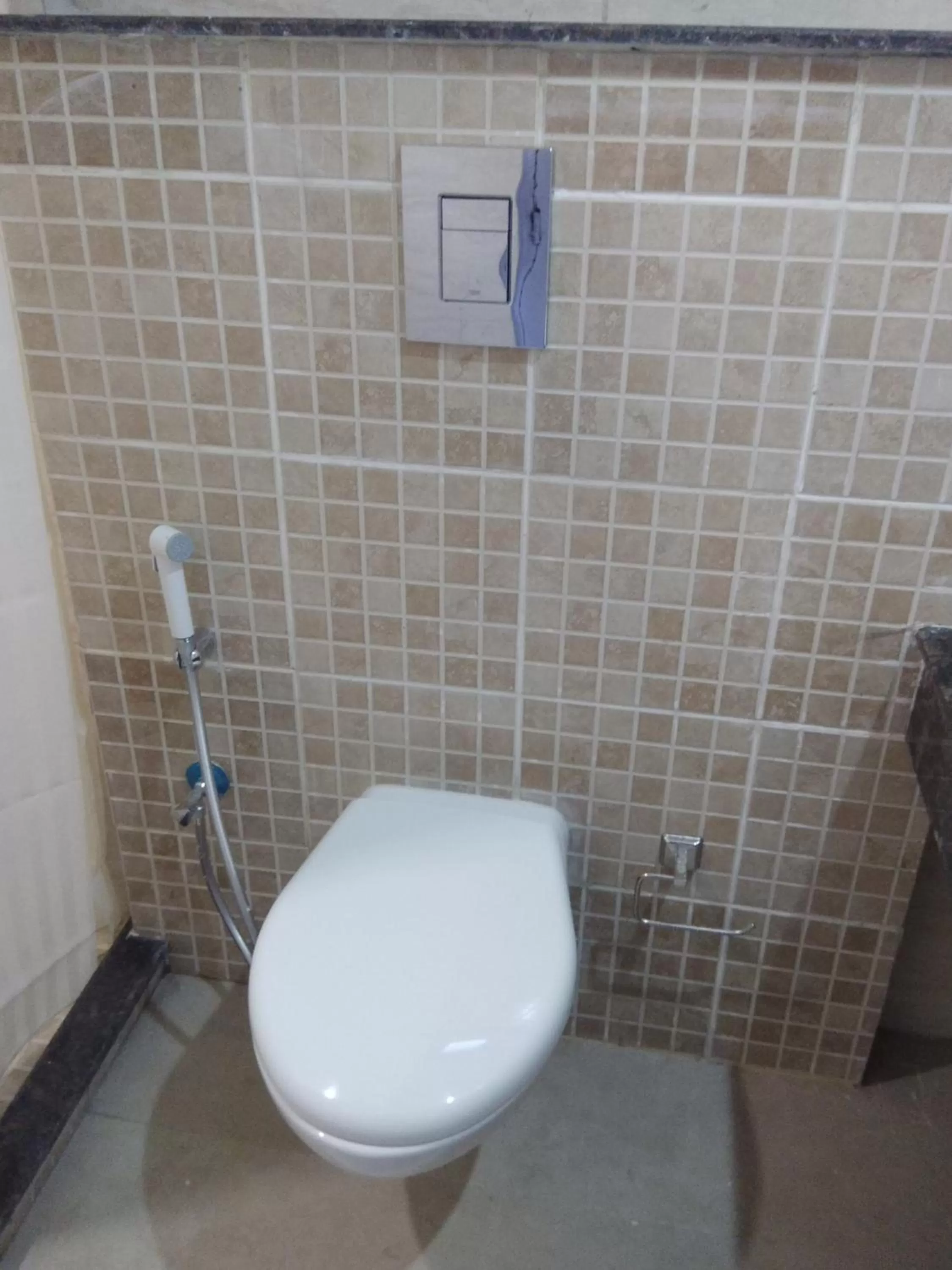 Bathroom in Hotel Shiva Continental