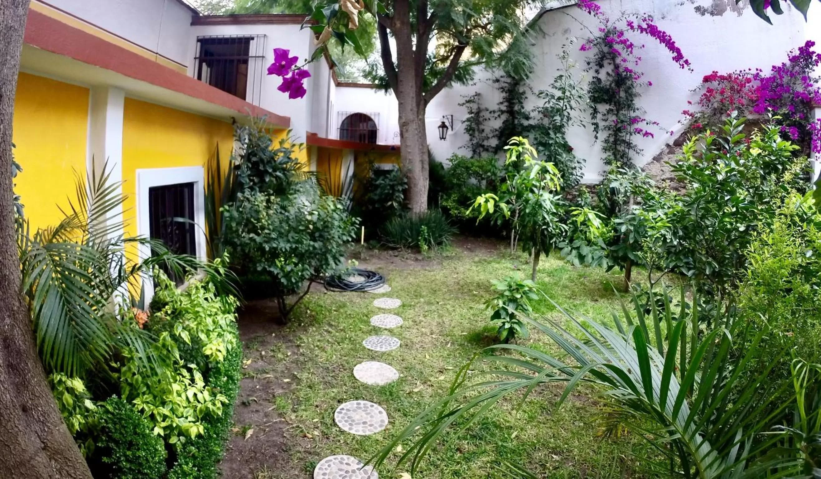 Garden in Sanbernabé tres