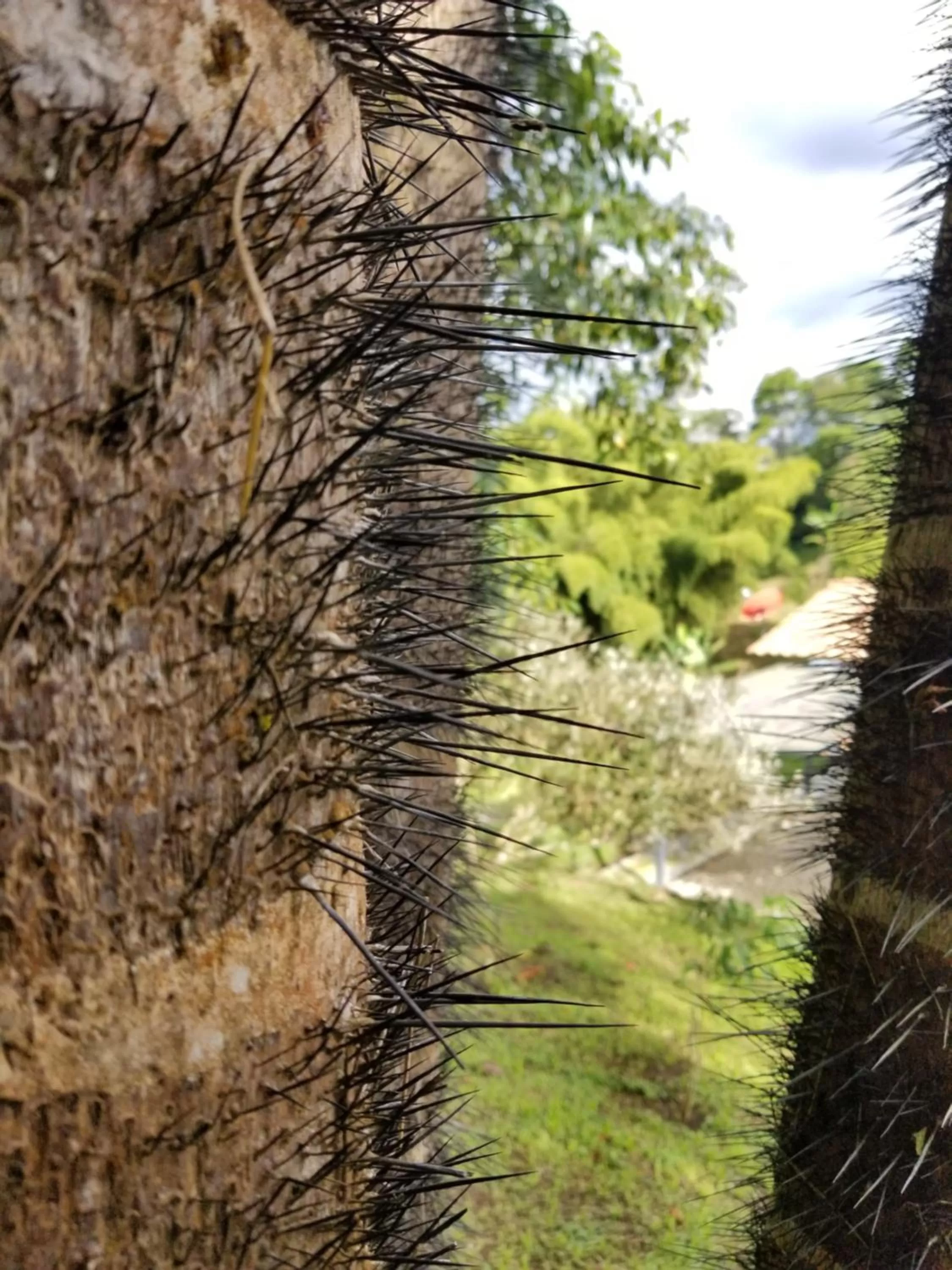 Villa Cristina - Casa Boutique