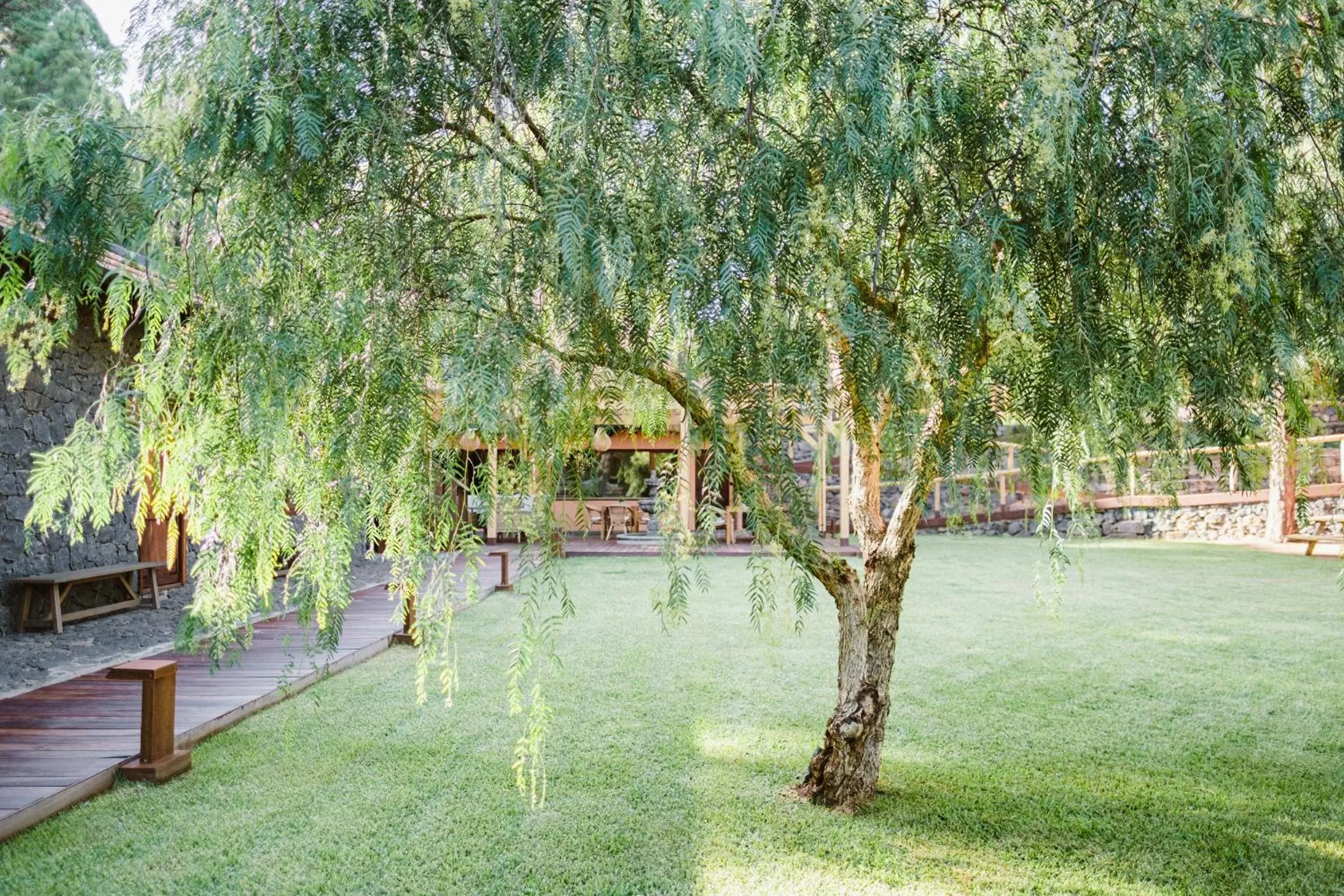Garden in Hotel Rural Ohana