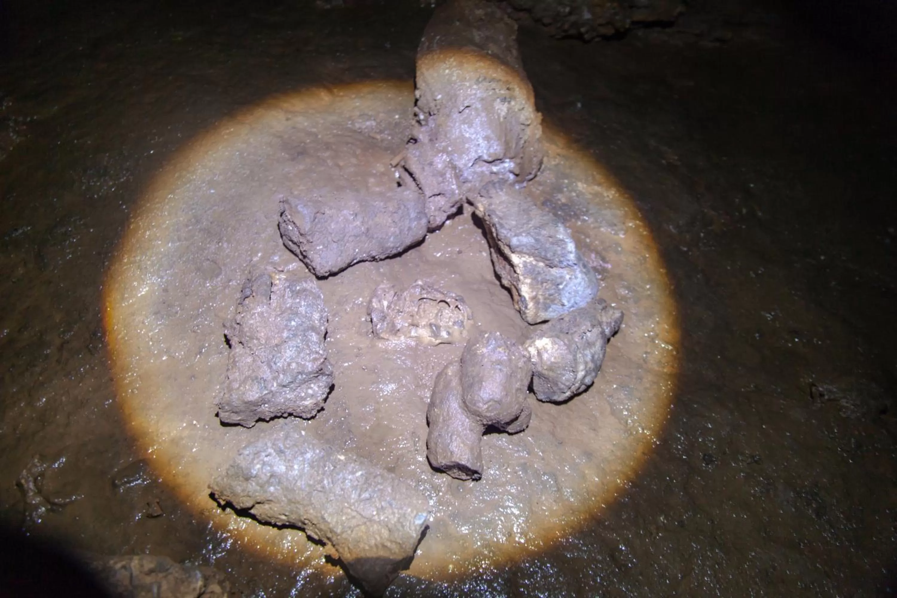 Activities in Sleeping Giant Rainforest Lodge