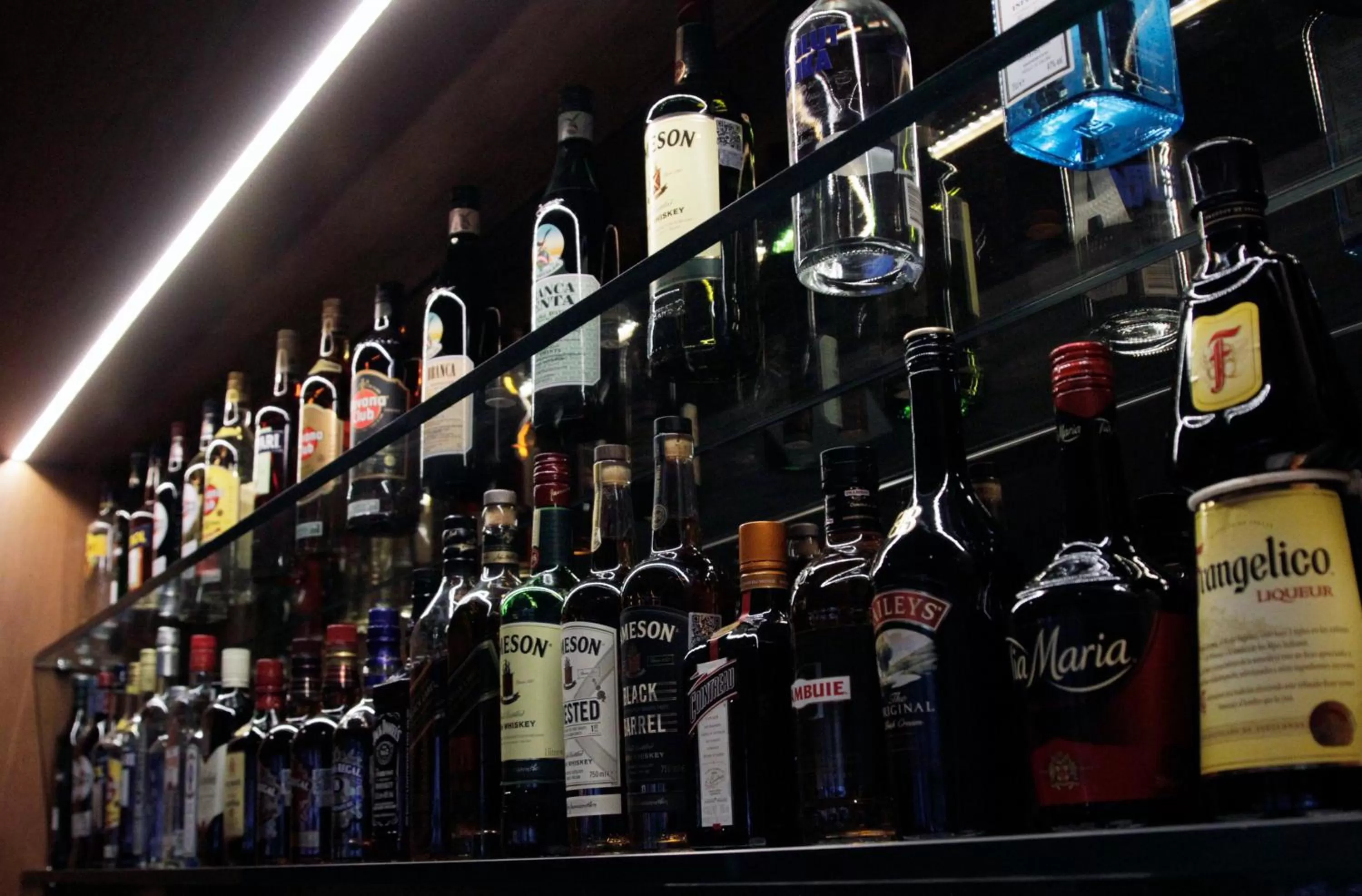 Lounge or bar in Cottage Puerto Buceo