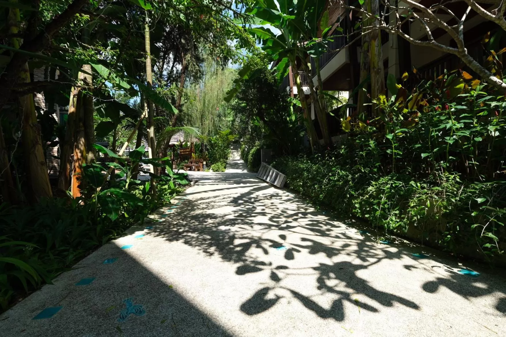 Garden in HULA HULA RESORT l truly tropical and fun wellness