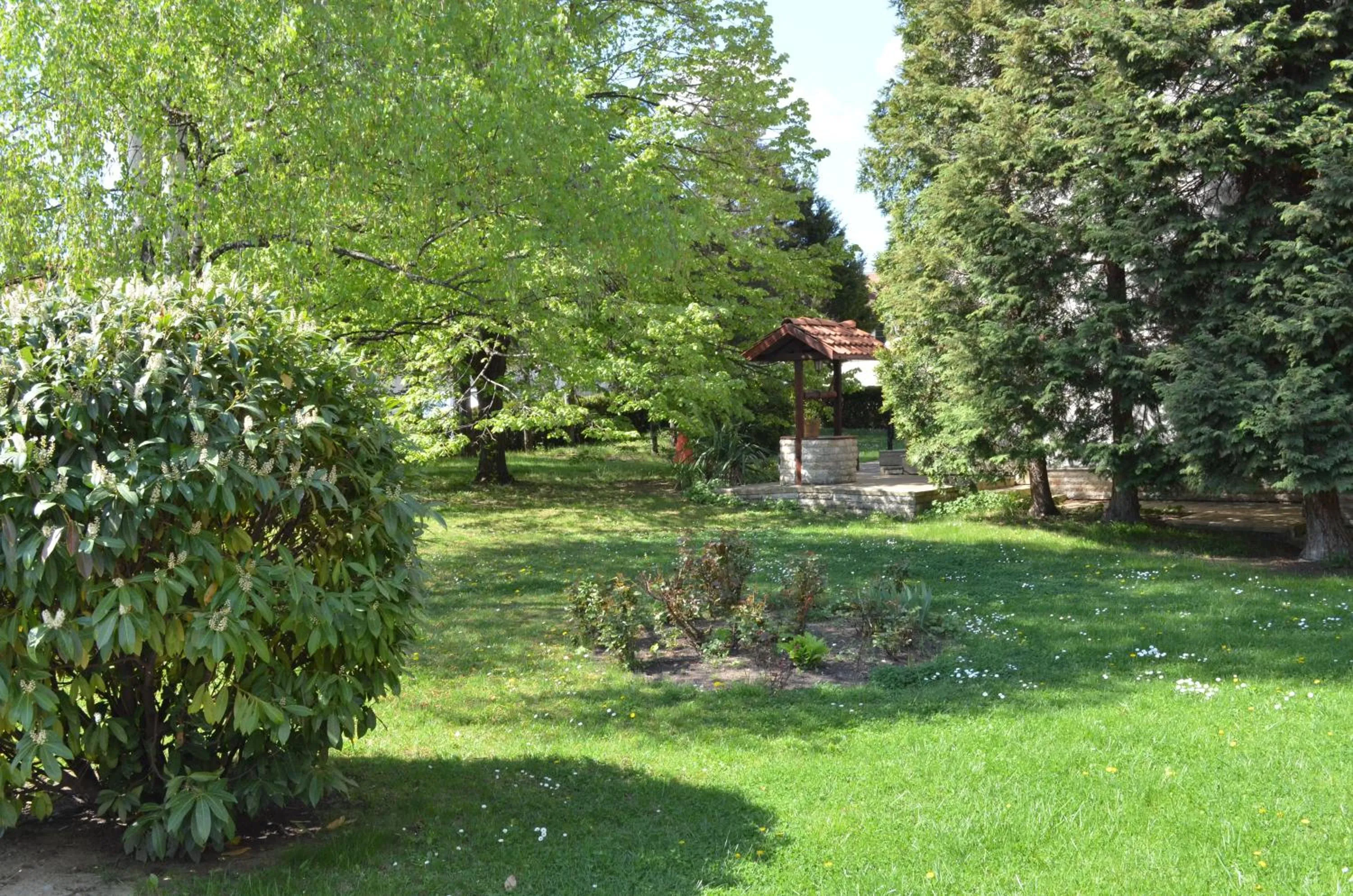 Natural landscape in Hotel Bankya Palace