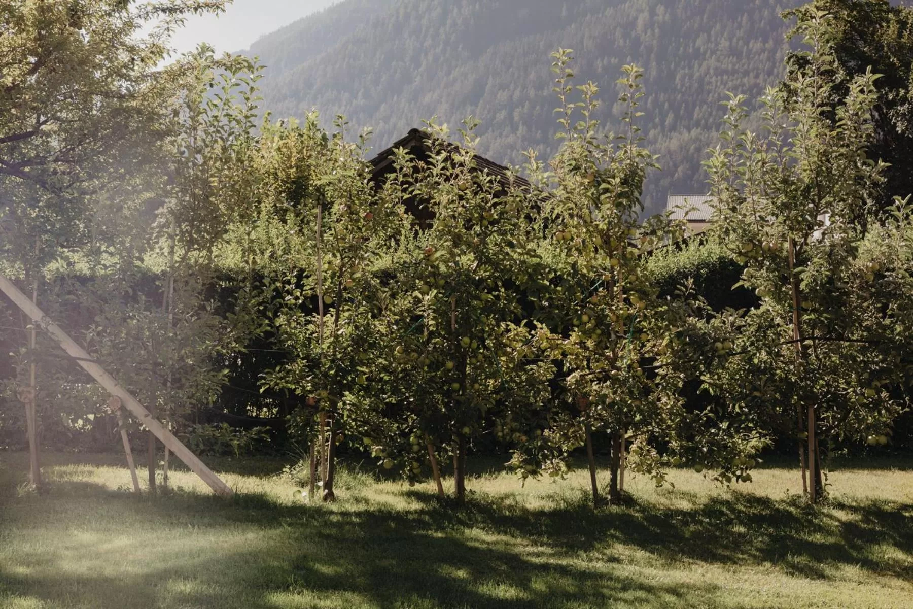 Patio in Hotel Kreuz