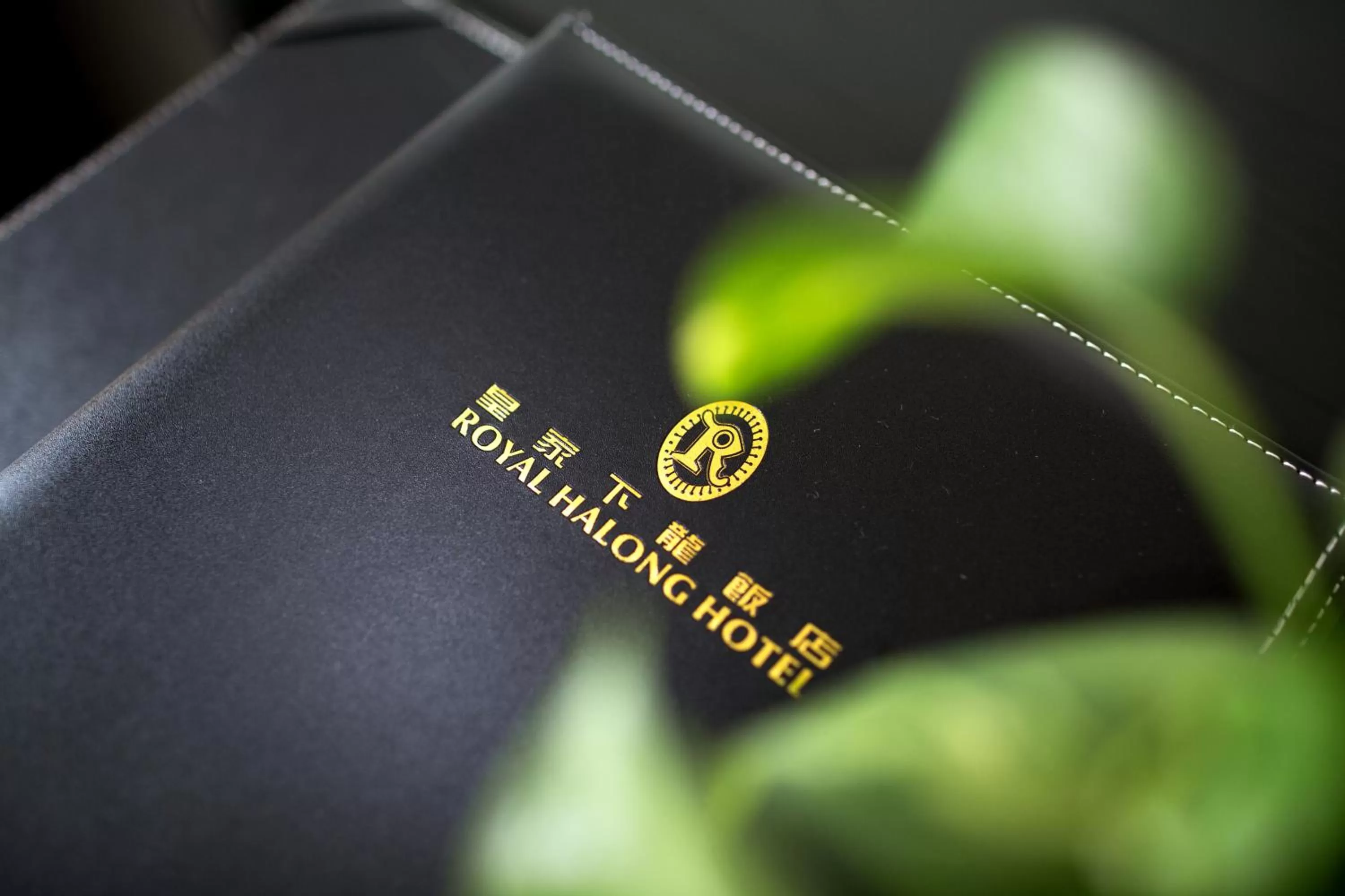 Area and facilities in Royal Halong Hotel