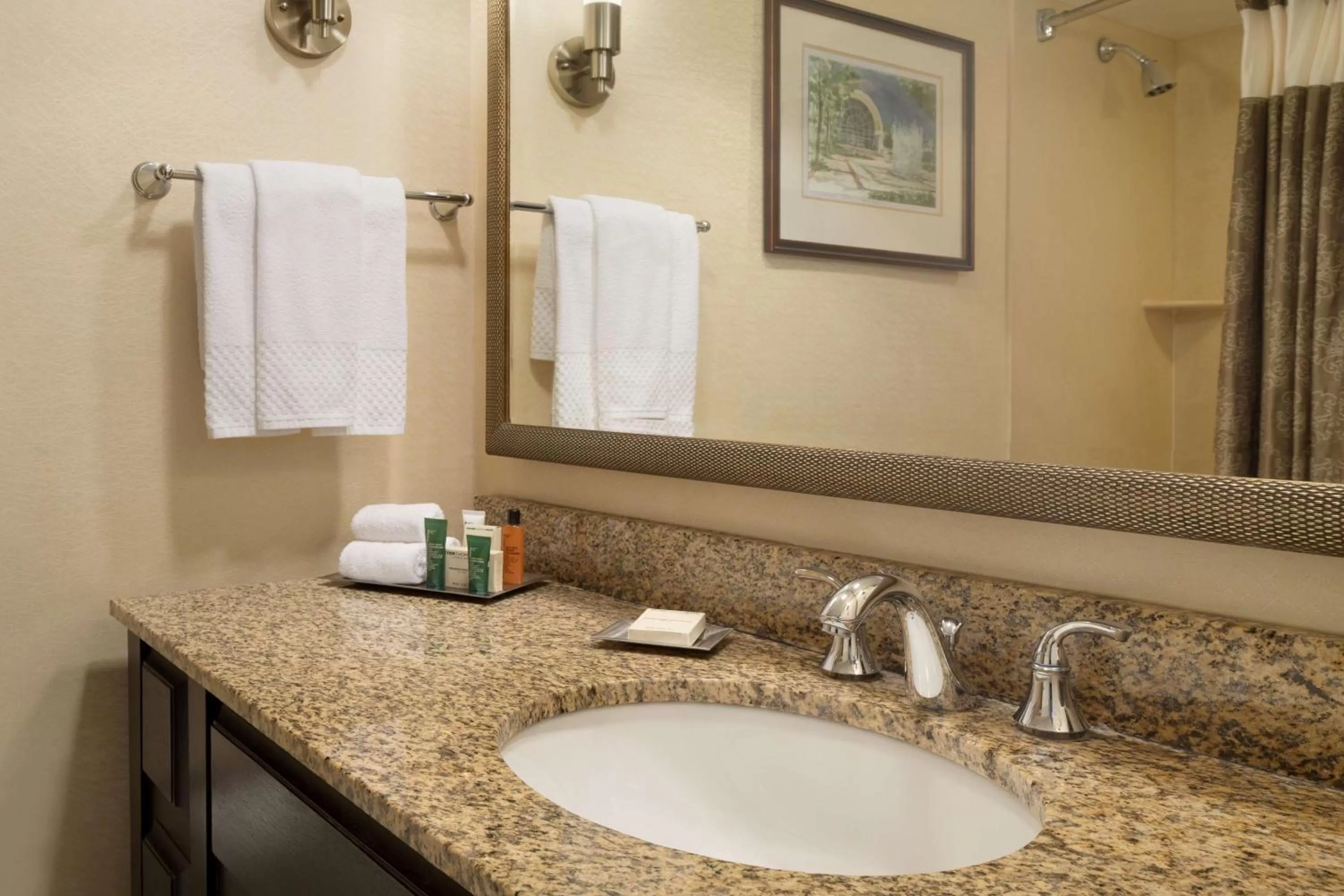 Bathroom in Hilton St. Louis Frontenac