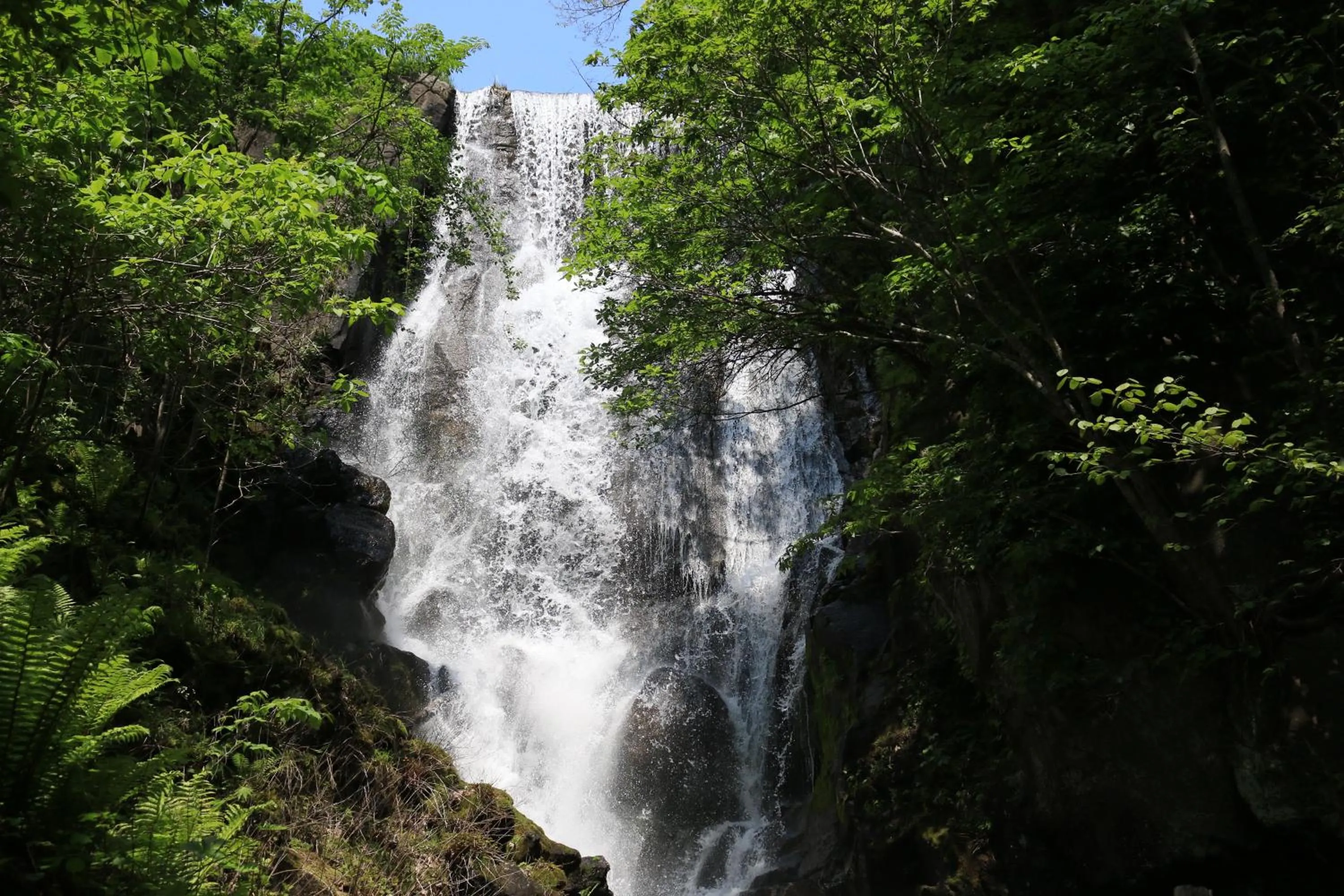 Nearby landmark in Kitayuzawa Mori no soraniwa