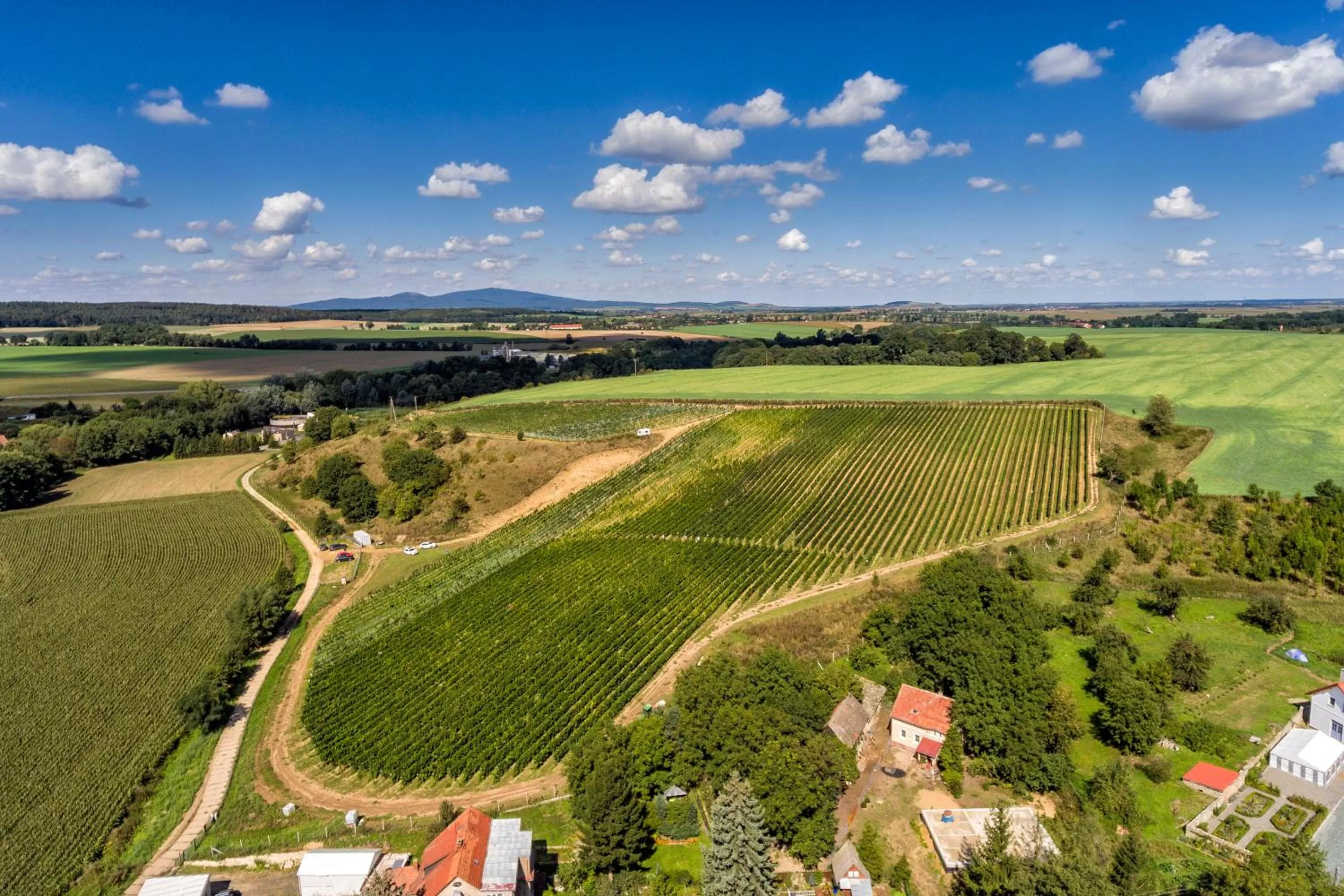 Day in Hotel Niemcza Wino & Spa