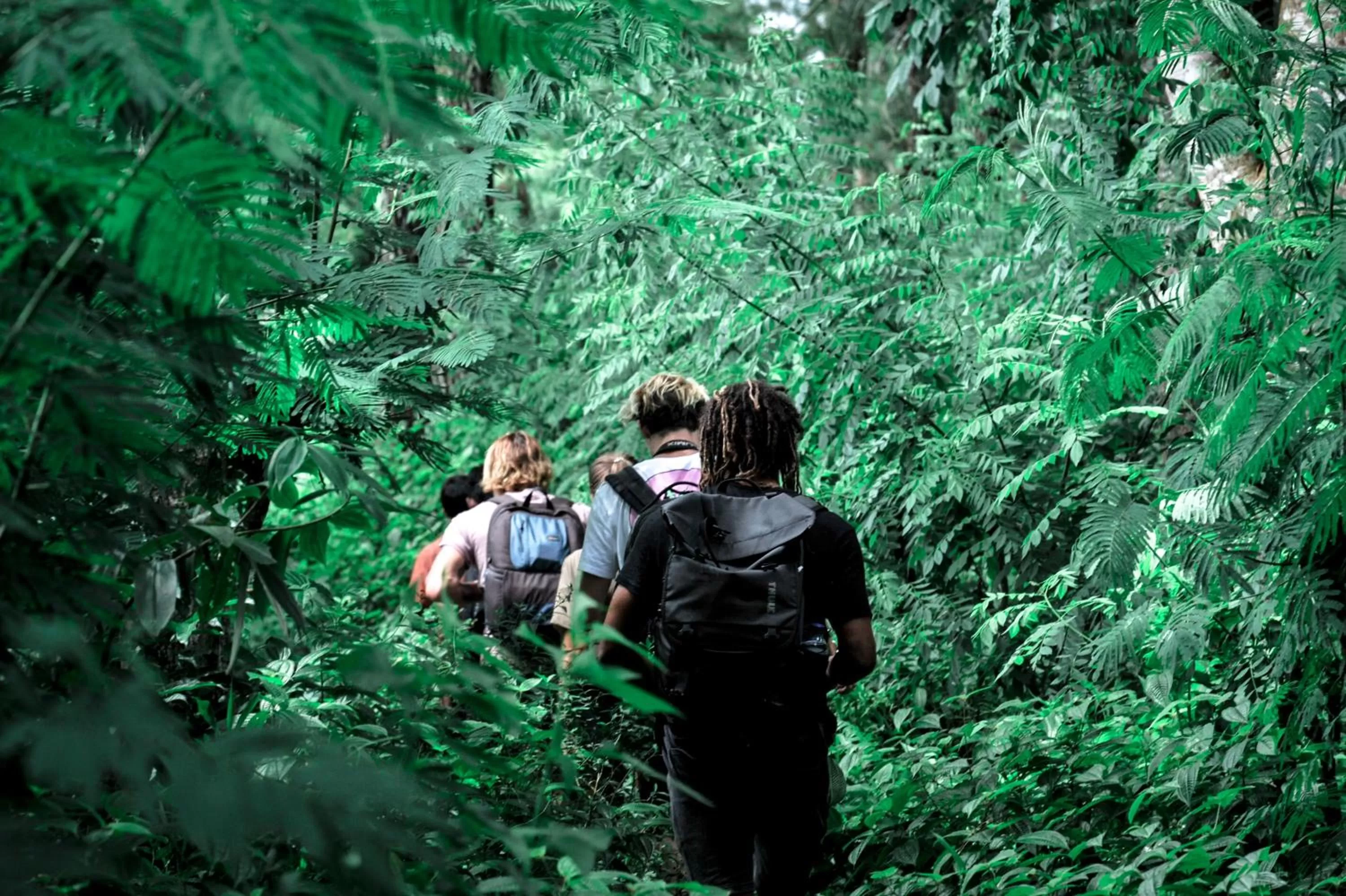 Activities in Ijen Resort and Villas - The Hidden Paradise