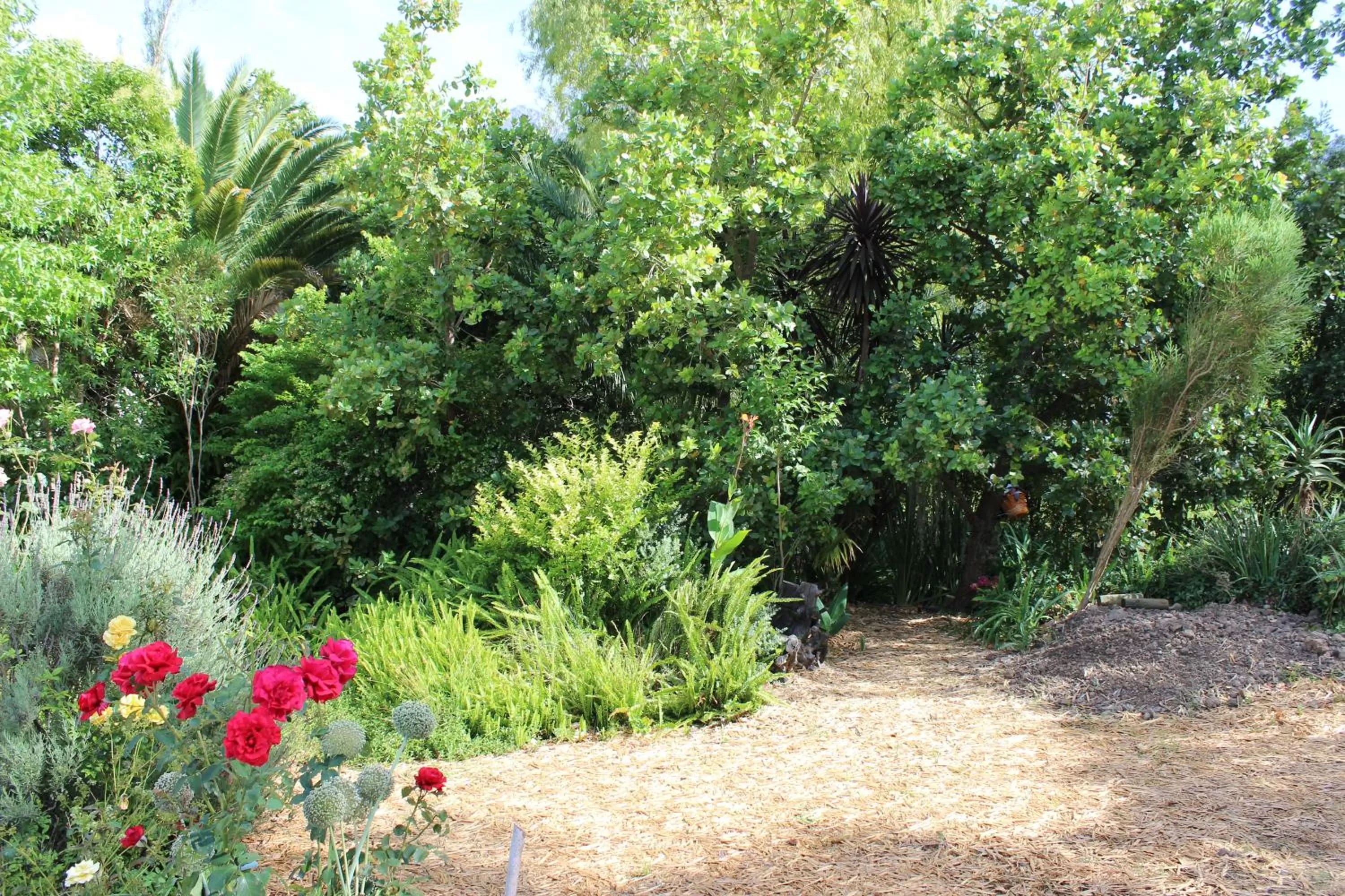 Garden in Aquaelberg Place