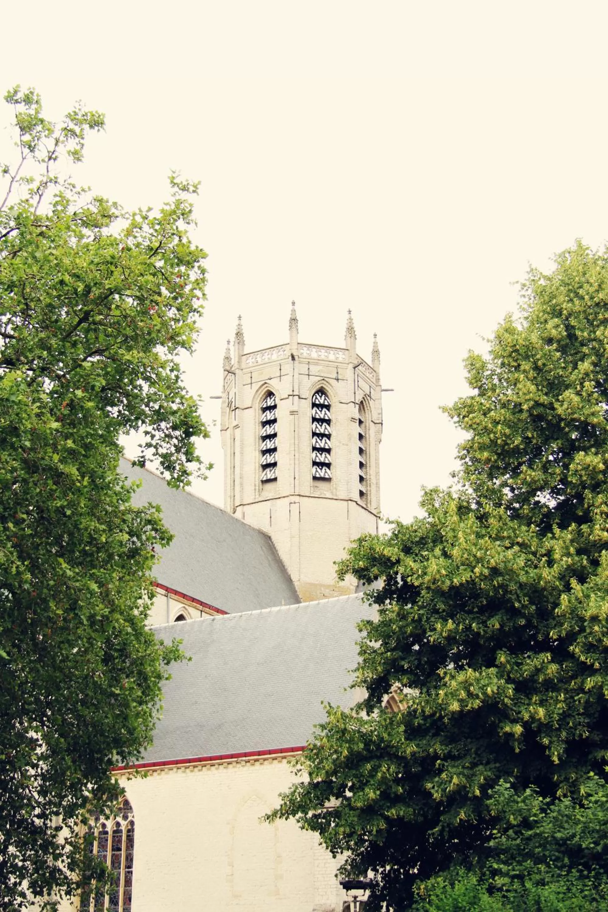 Area and facilities in Dendernachten