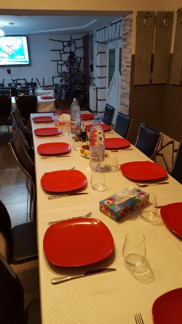 TV and multimedia in Pensiunea SilvAnka