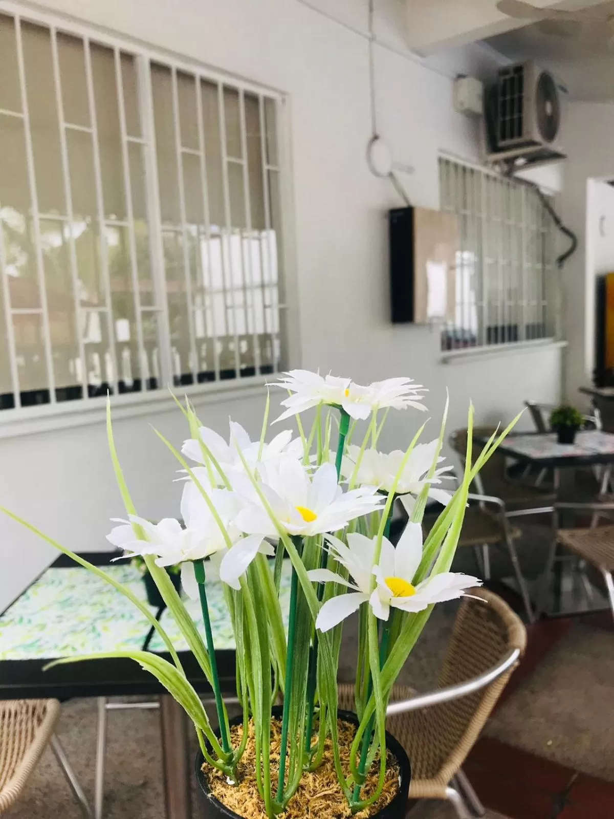 Balcony/Terrace in HOTEL MACEO MELGAR