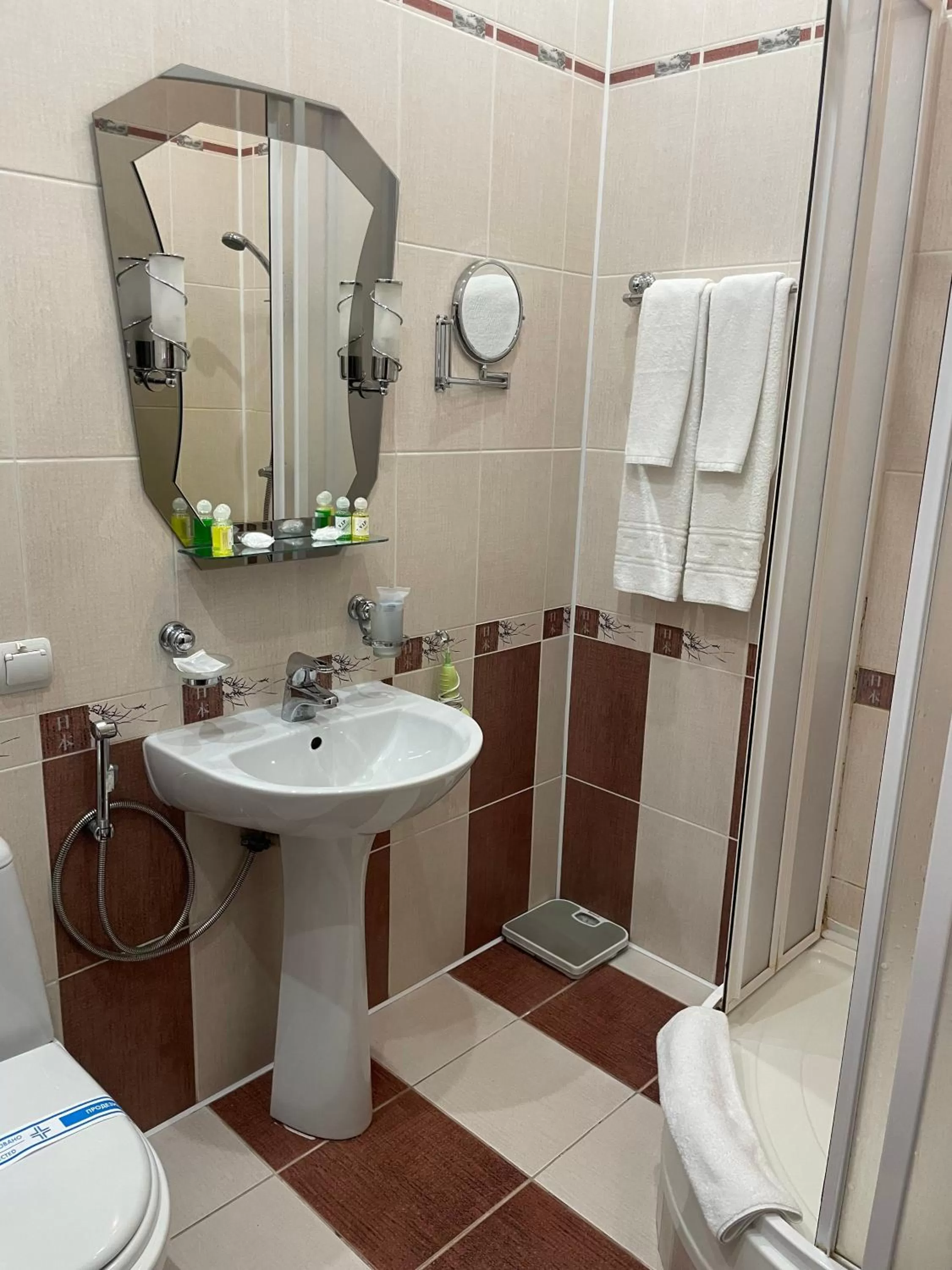 Bathroom in Hotel Prydesnyansky