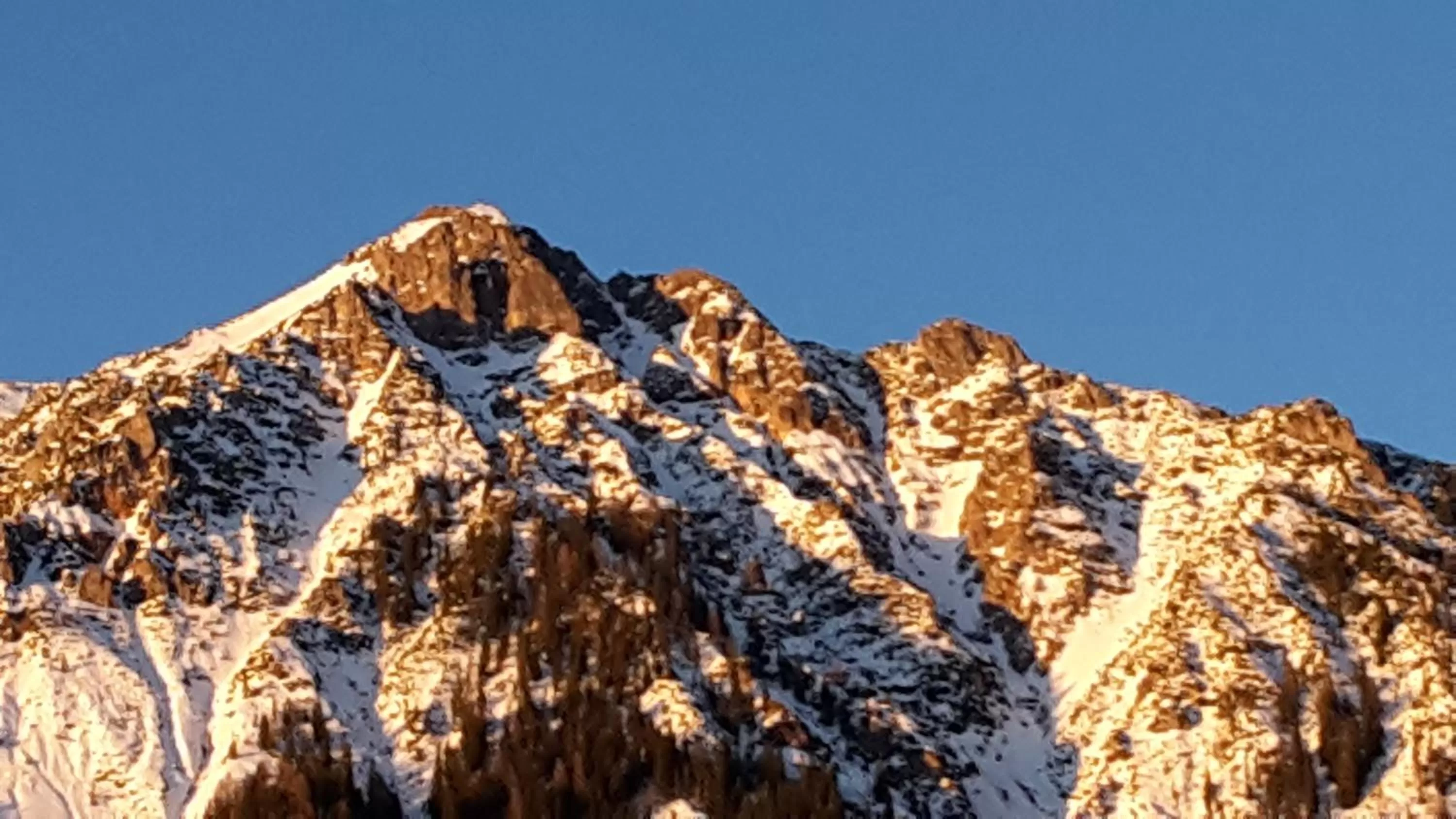 Mountain view in Hotel Neuwirt